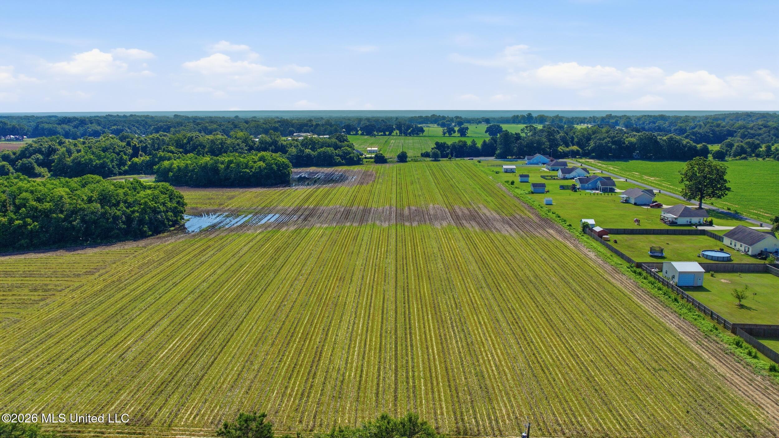 28 Acres Harmon Pope Road Property Photo 25