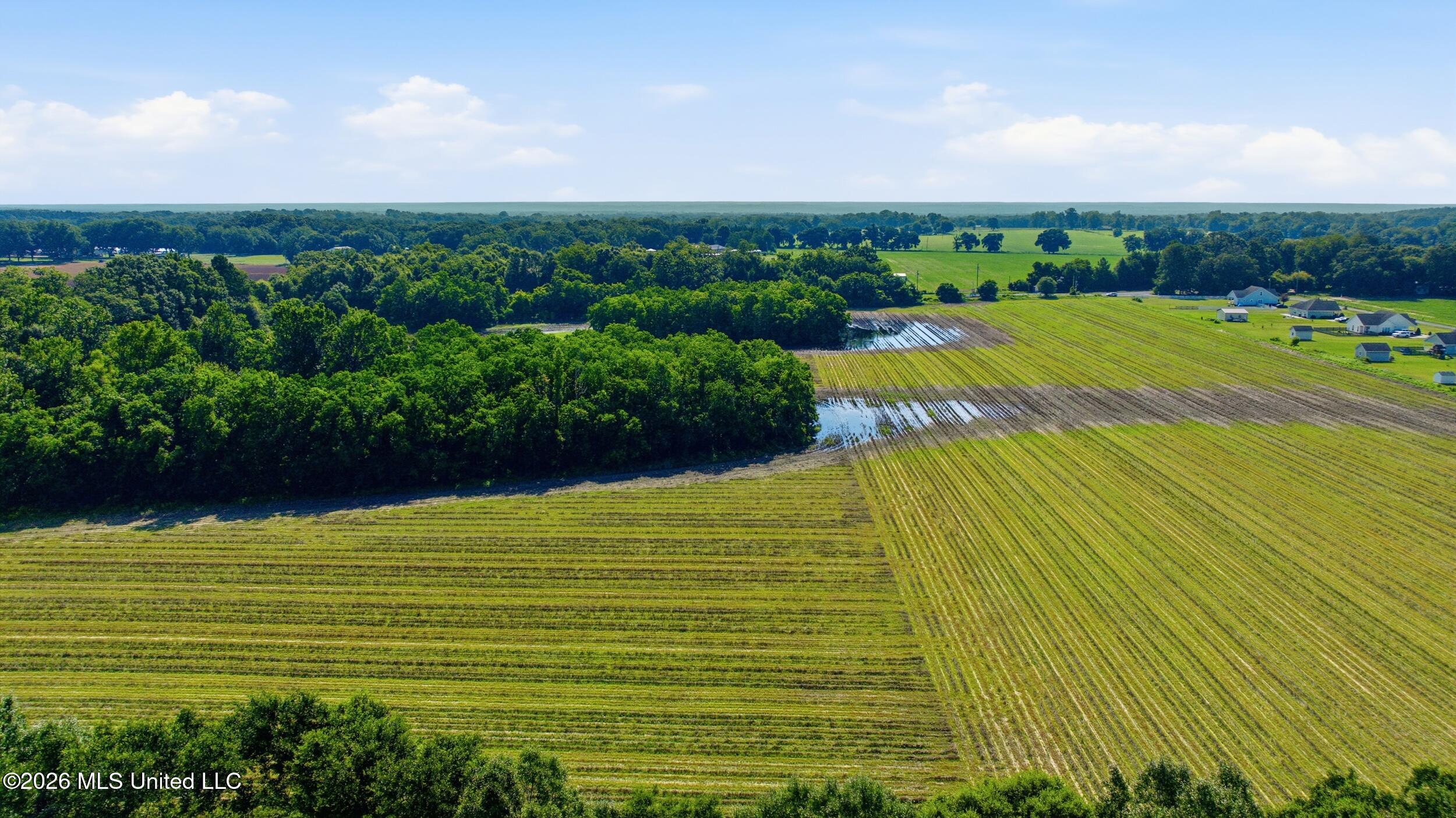 28 Acres Harmon Pope Road Property Photo 26