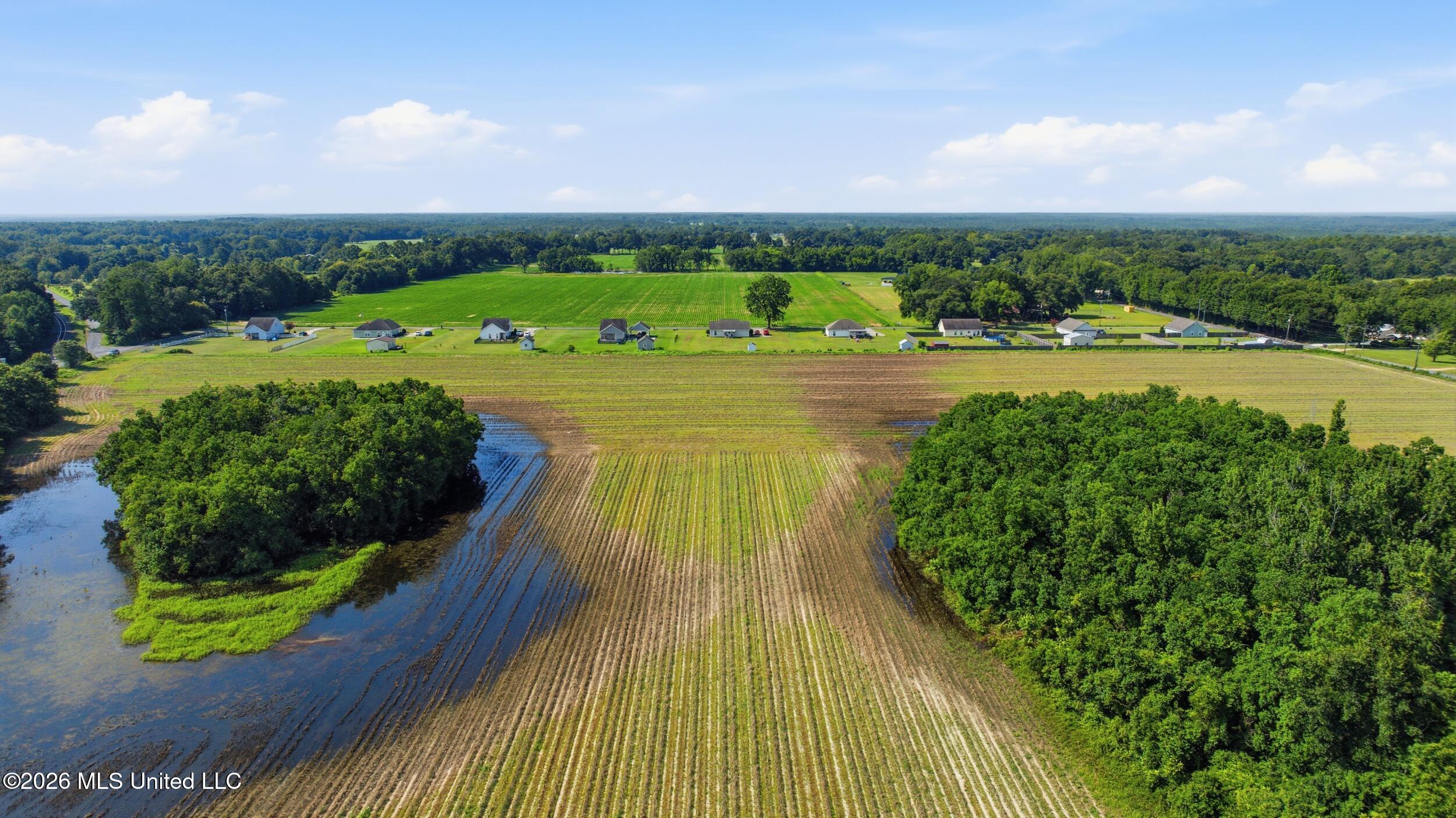 28 Acres Harmon Pope Road Property Photo 27