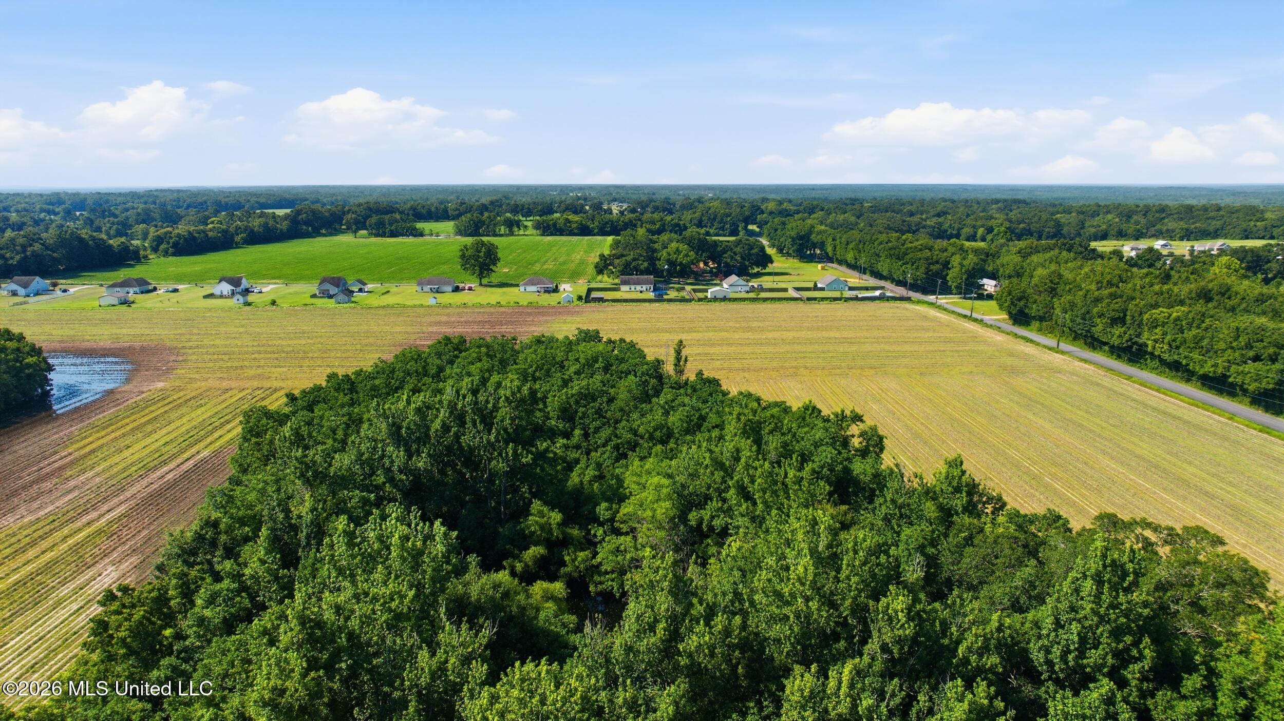 28 Acres Harmon Pope Road Property Photo 28