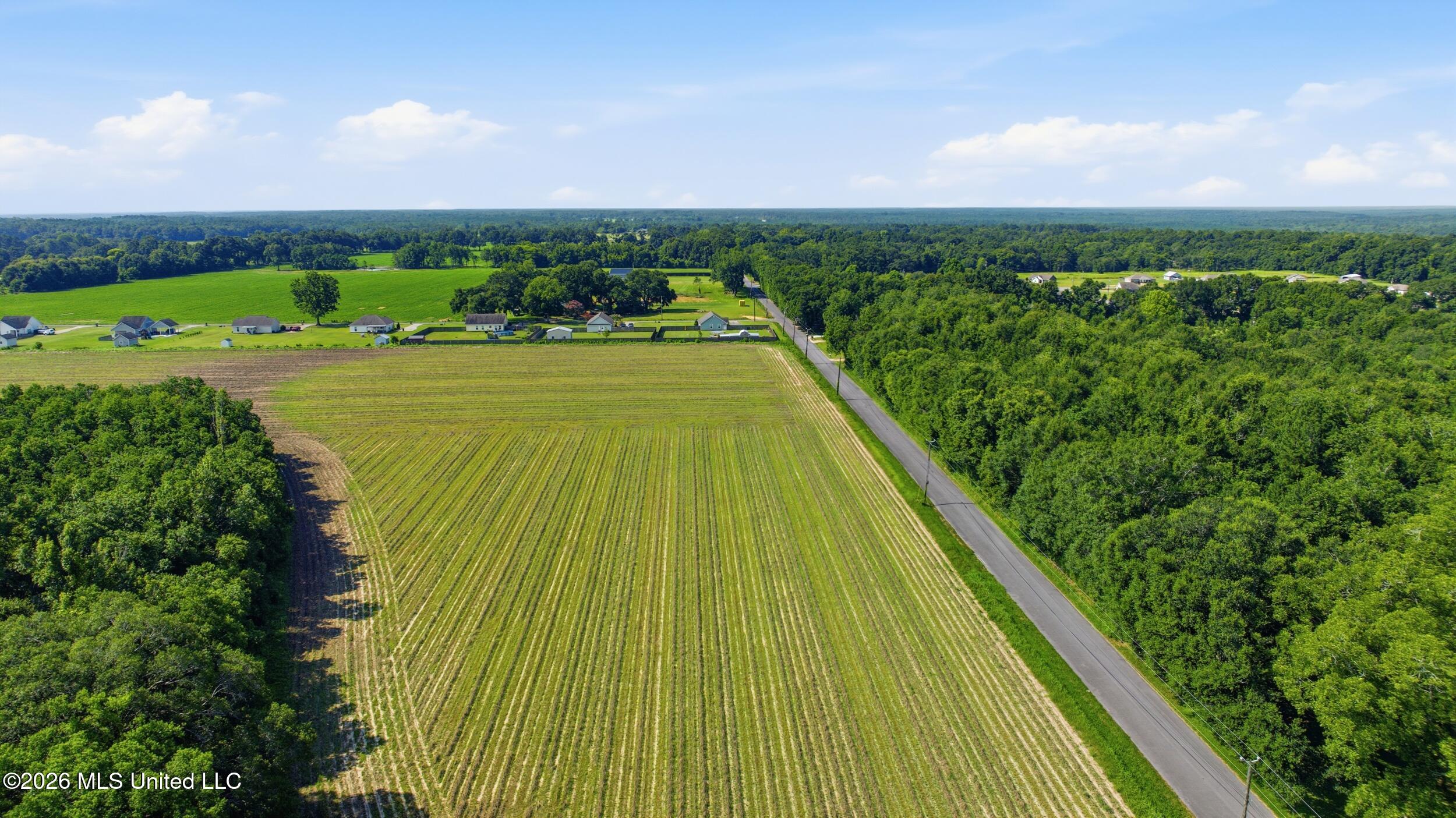 28 Acres Harmon Pope Road Property Photo 29
