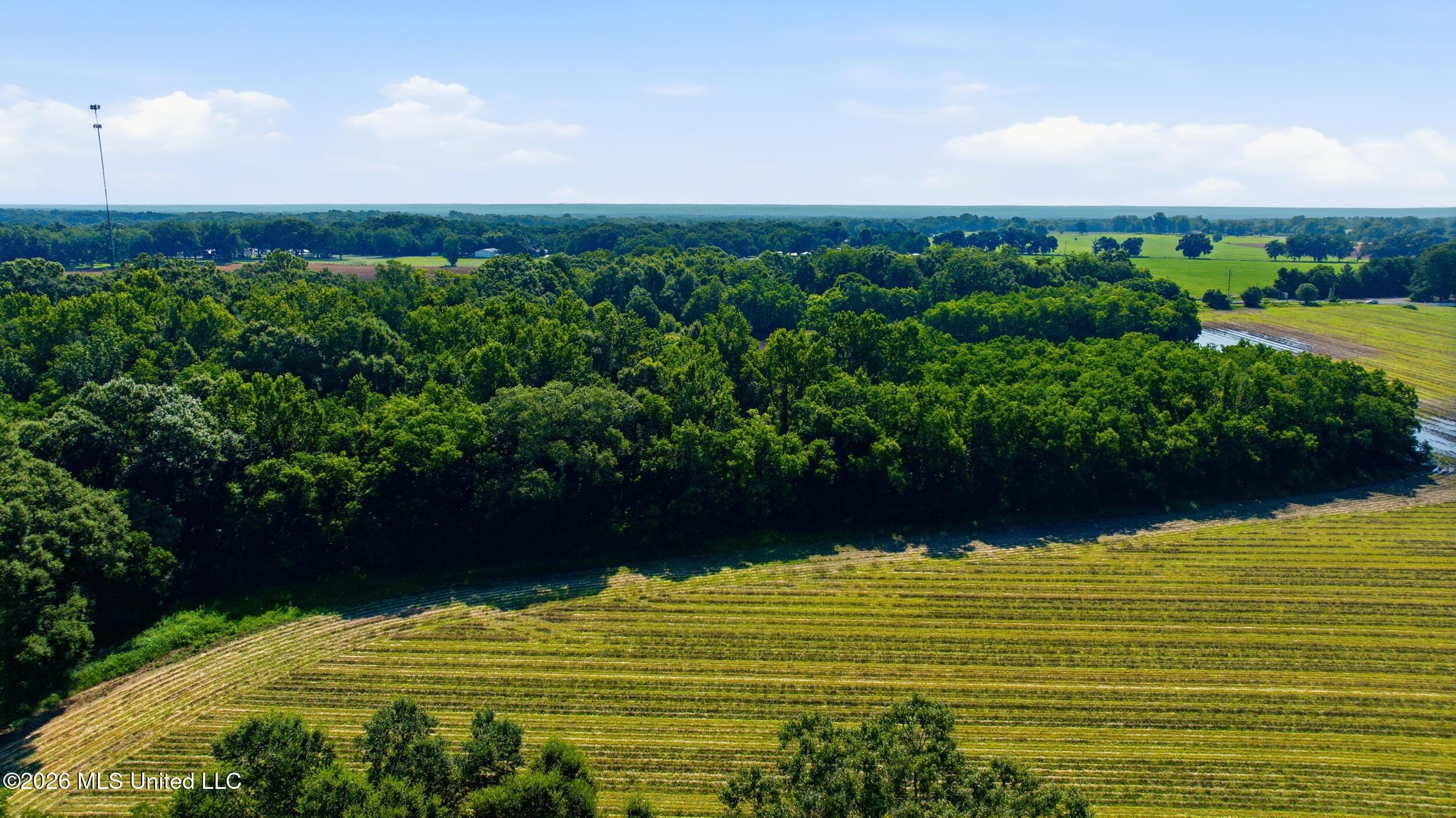 28 Acres Harmon Pope Road Property Photo 31