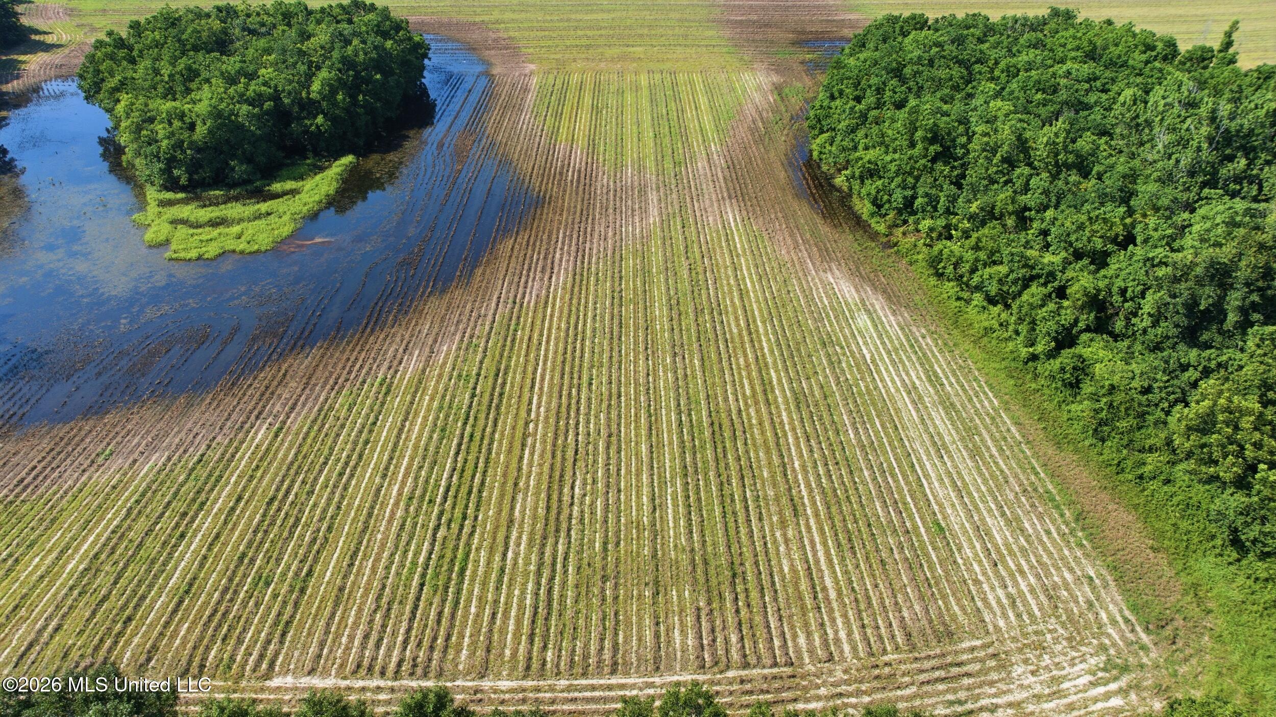 28 Acres Harmon Pope Road Property Photo 32