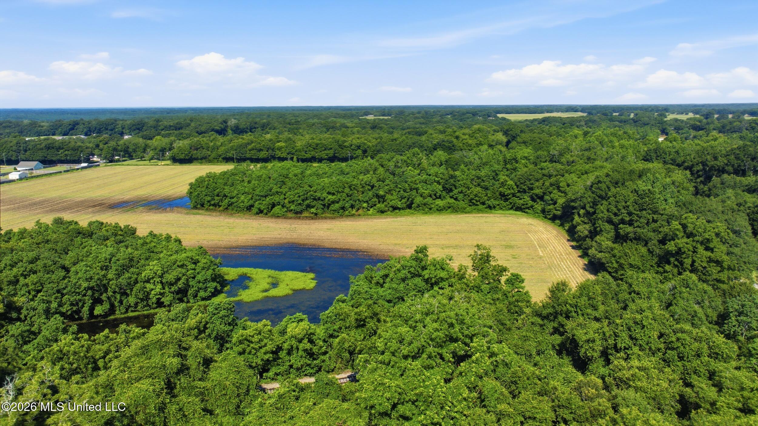 28 Acres Harmon Pope Road Property Photo 34