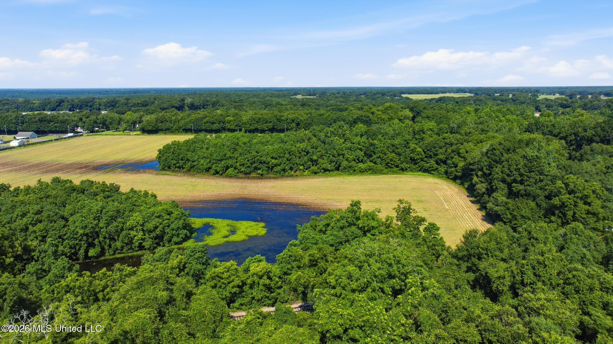 28 Acres Harmon Pope Road Property Photo 35