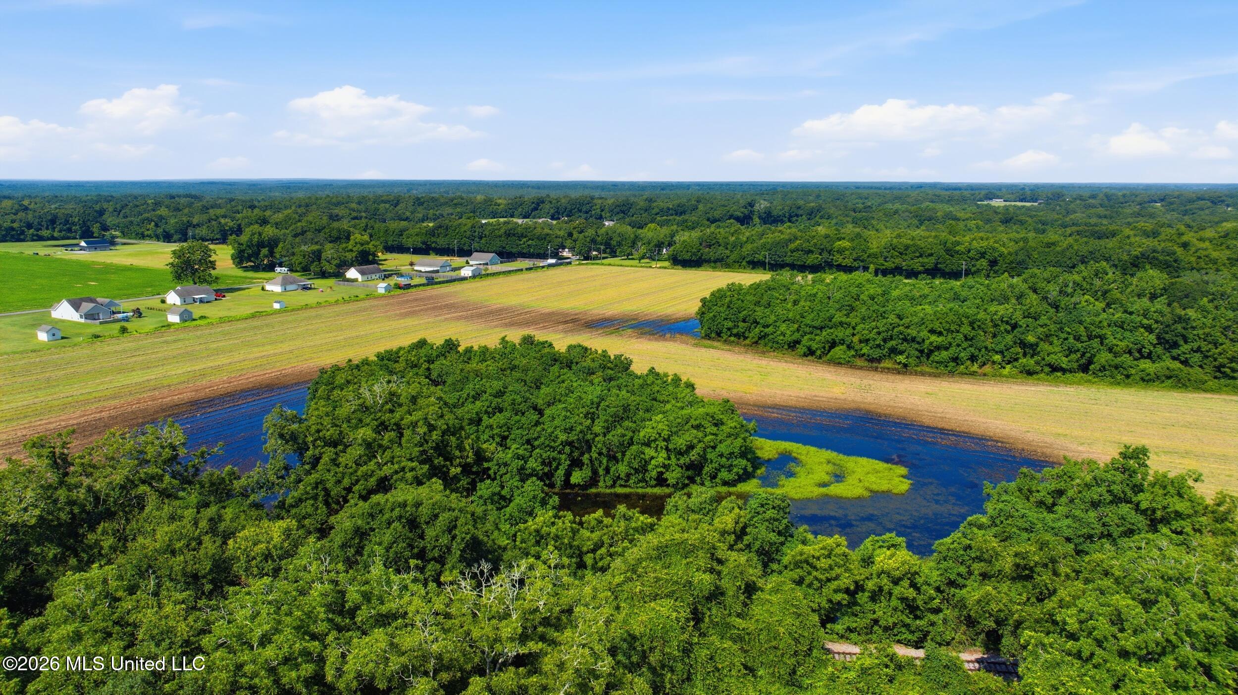 28 Acres Harmon Pope Road Property Photo 36