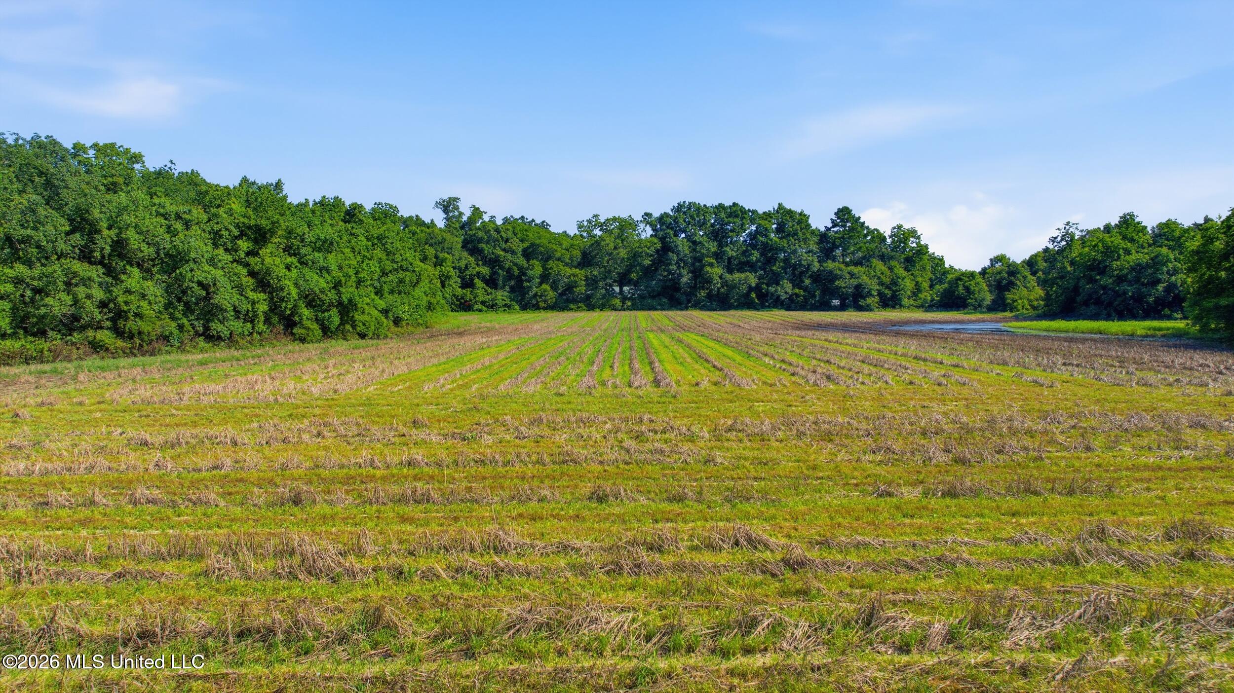 28 Acres Harmon Pope Road Property Photo 37
