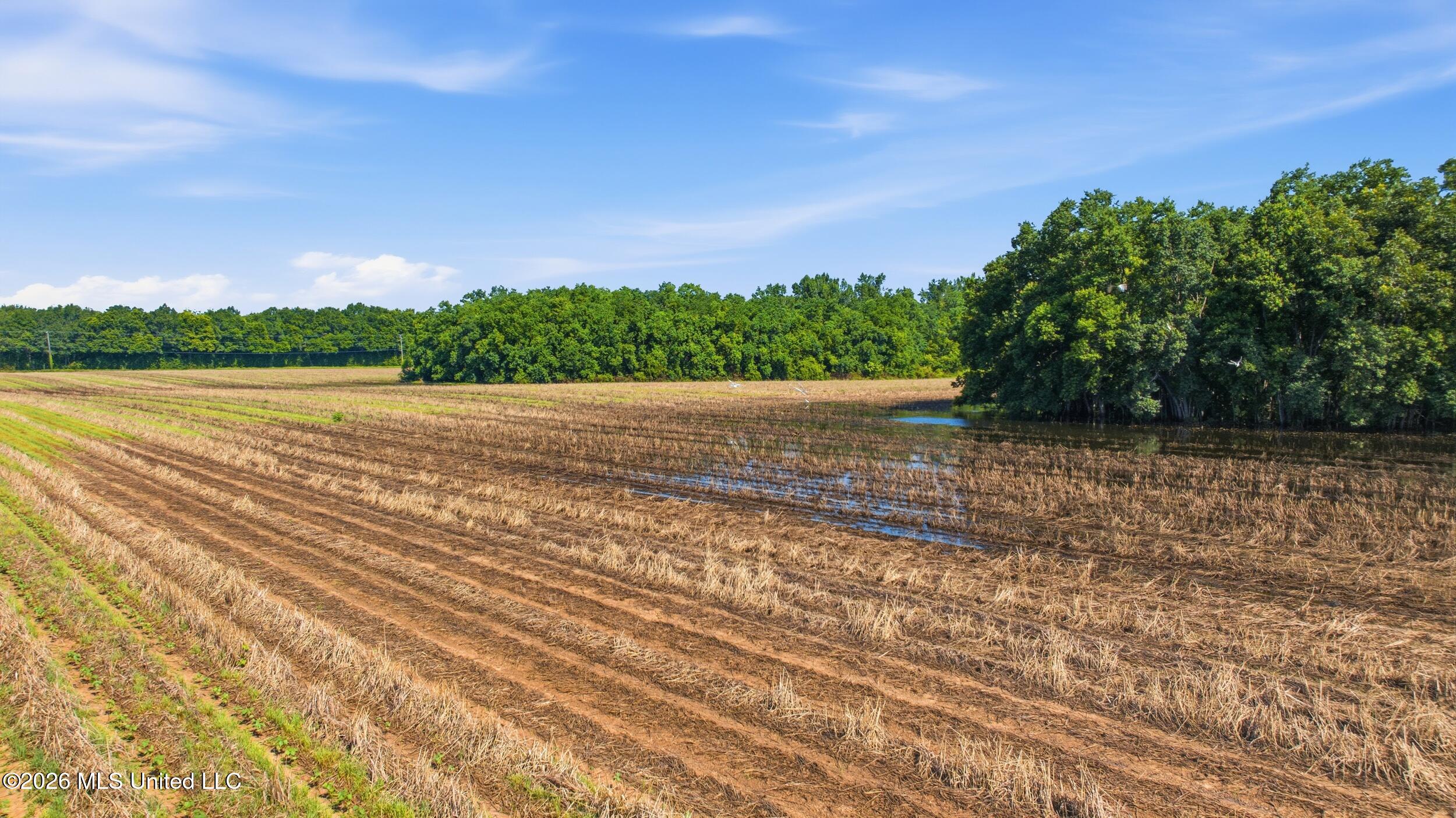 28 Acres Harmon Pope Road Property Photo 39