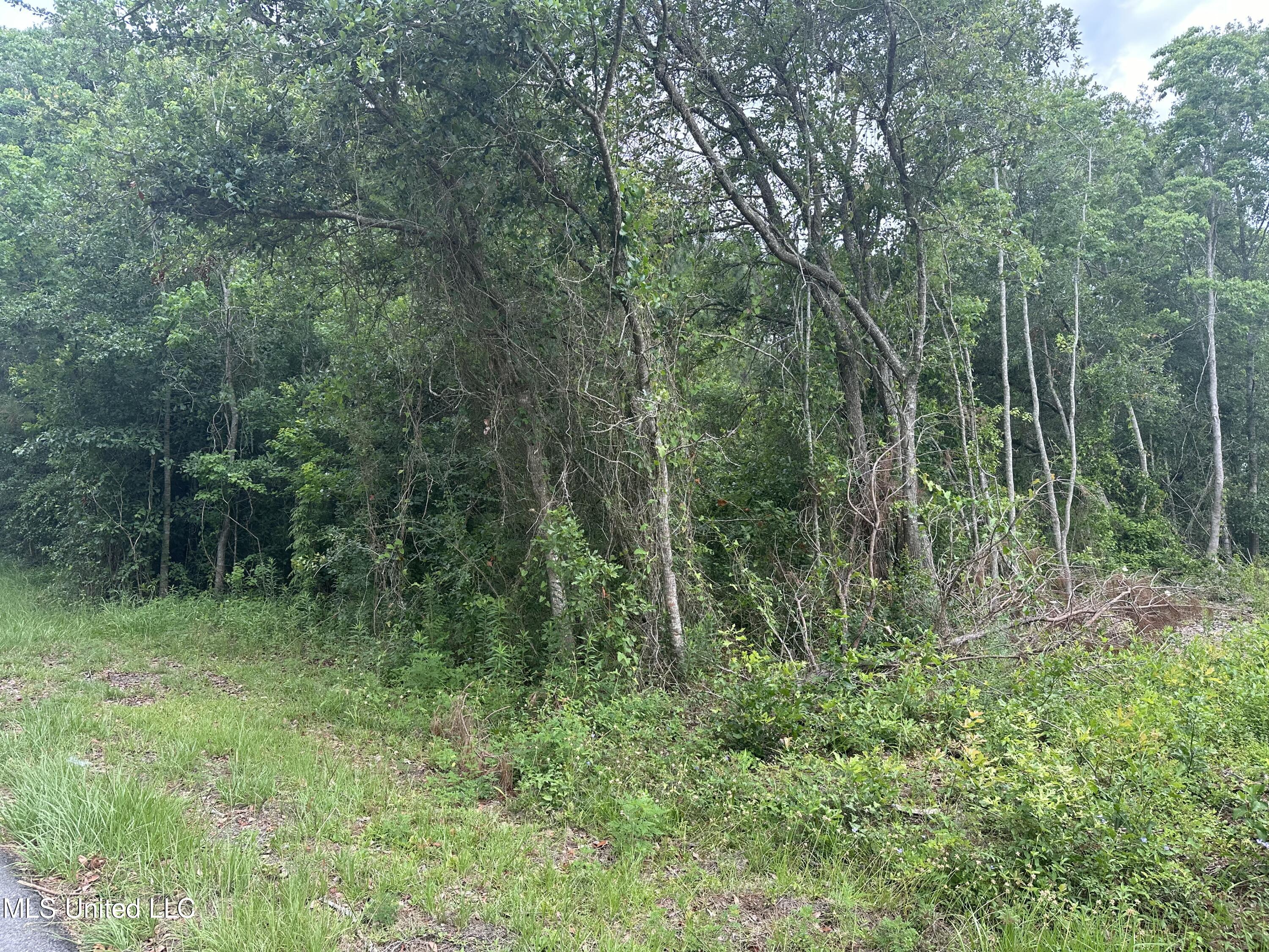 7904 Edgewater Boulevard Property Photo 4