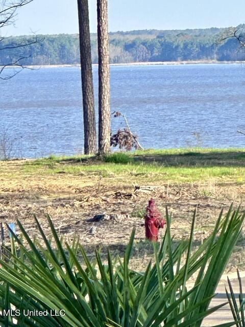 Lot 23 Neptune Shore Property Photo 2