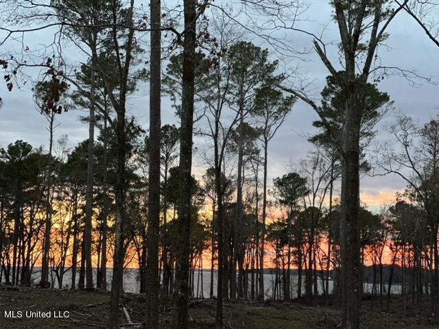Lot 23 Neptune Shore Property Photo 6