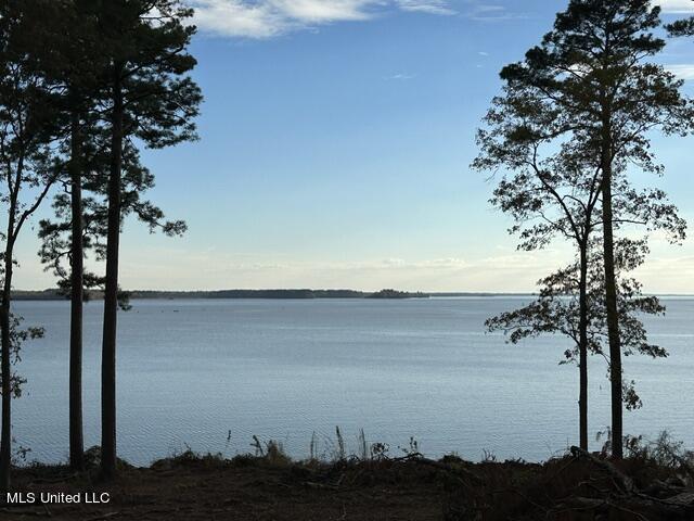 Lot 23 Neptune Shore Property Photo 8