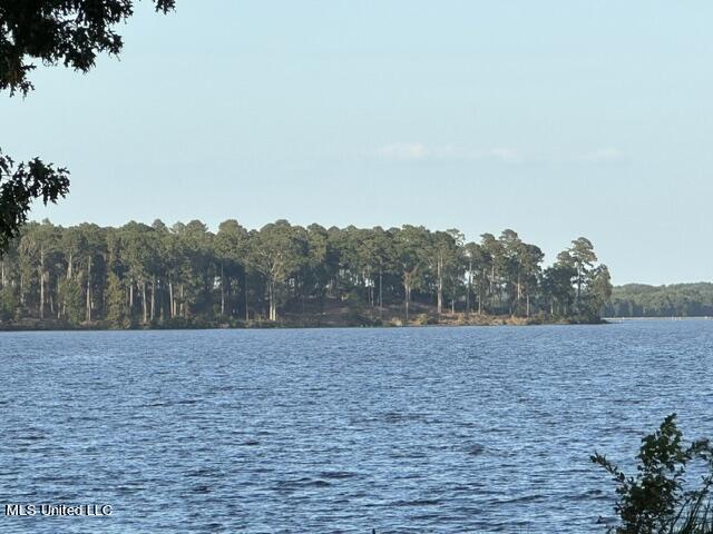 Lot 23 Neptune Shore Property Photo 9