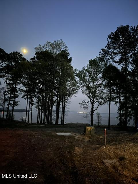 Lot 23 Neptune Shore Property Photo 13