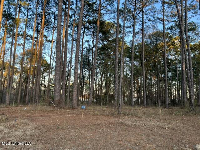 Lot 23 Neptune Shore Property Photo 15