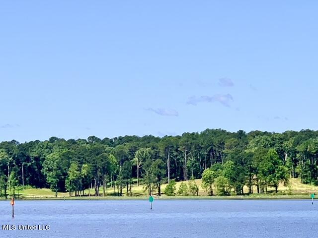 Lot 23 Neptune Shore Property Photo 19