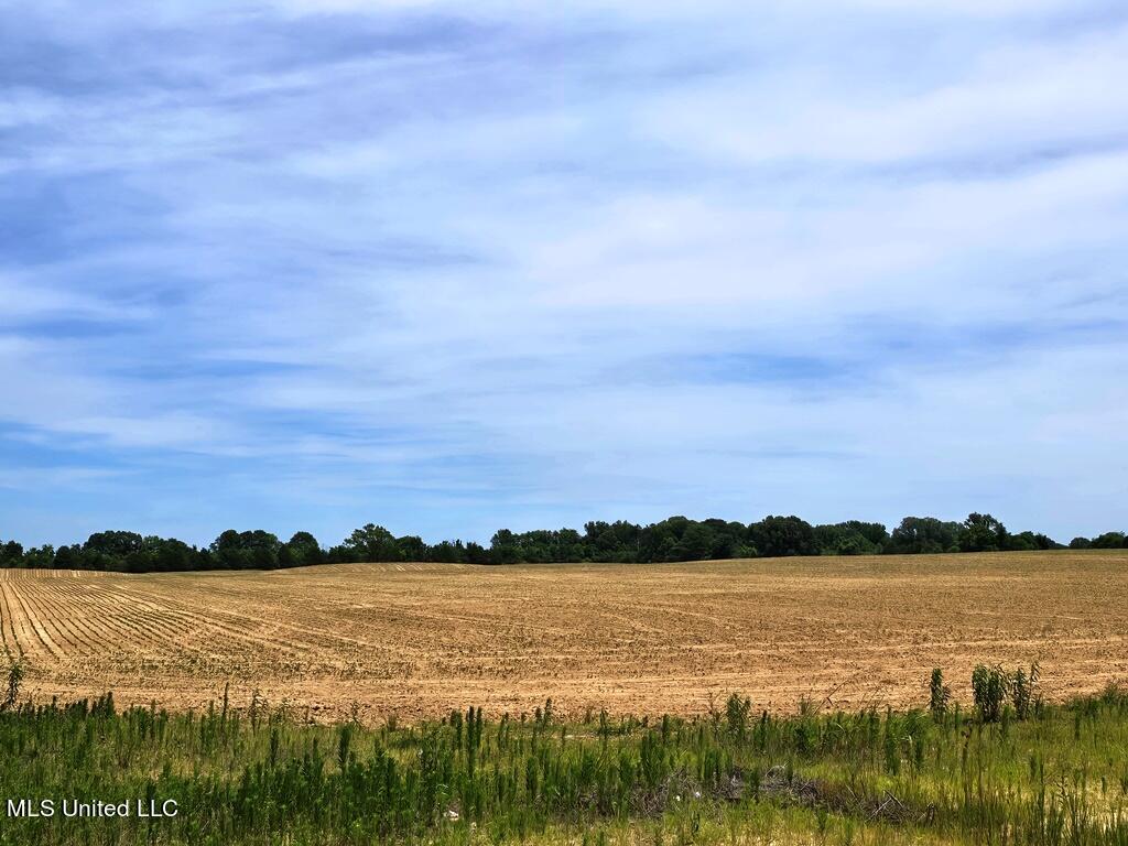 Shands Bottom Road Road Property Photo 4