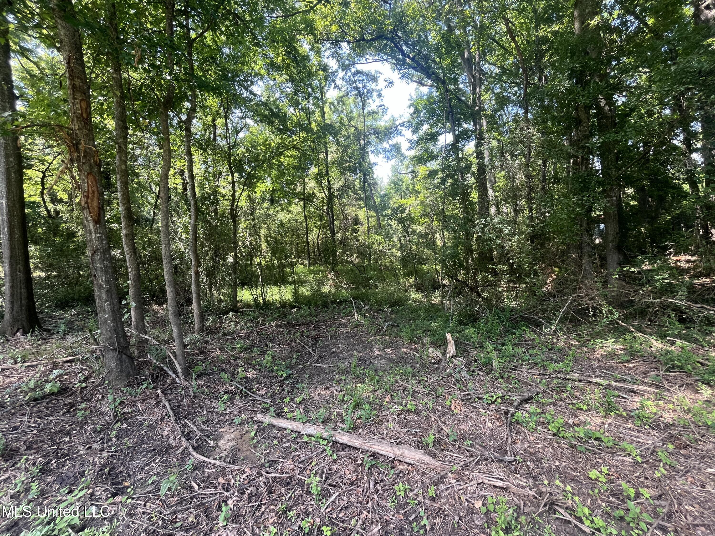 0 W Sunset Drive Property Photo 4