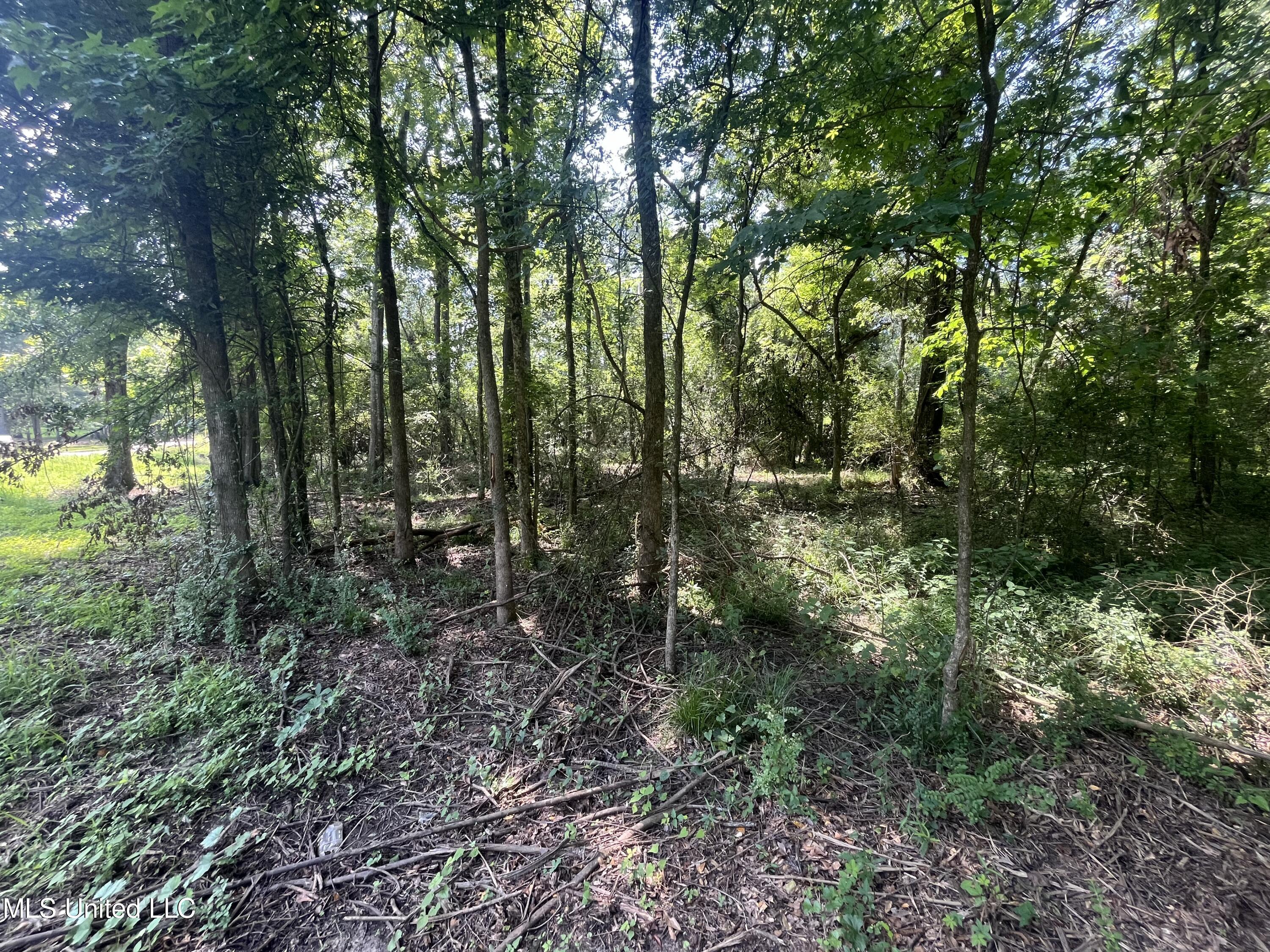 0 W Sunset Drive Property Photo 5