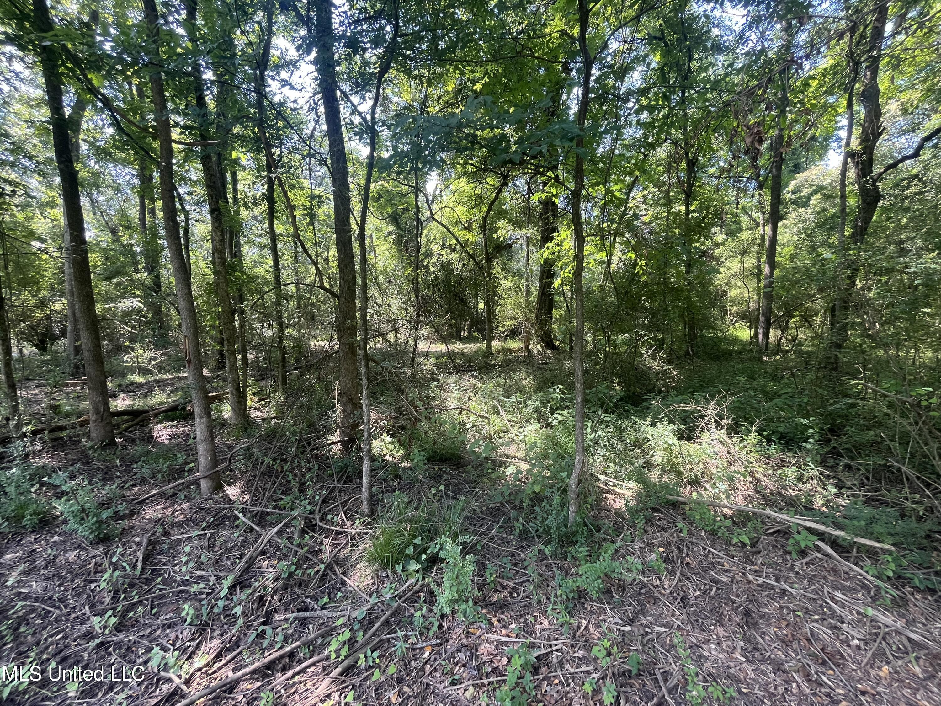 0 W Sunset Drive Property Photo 6