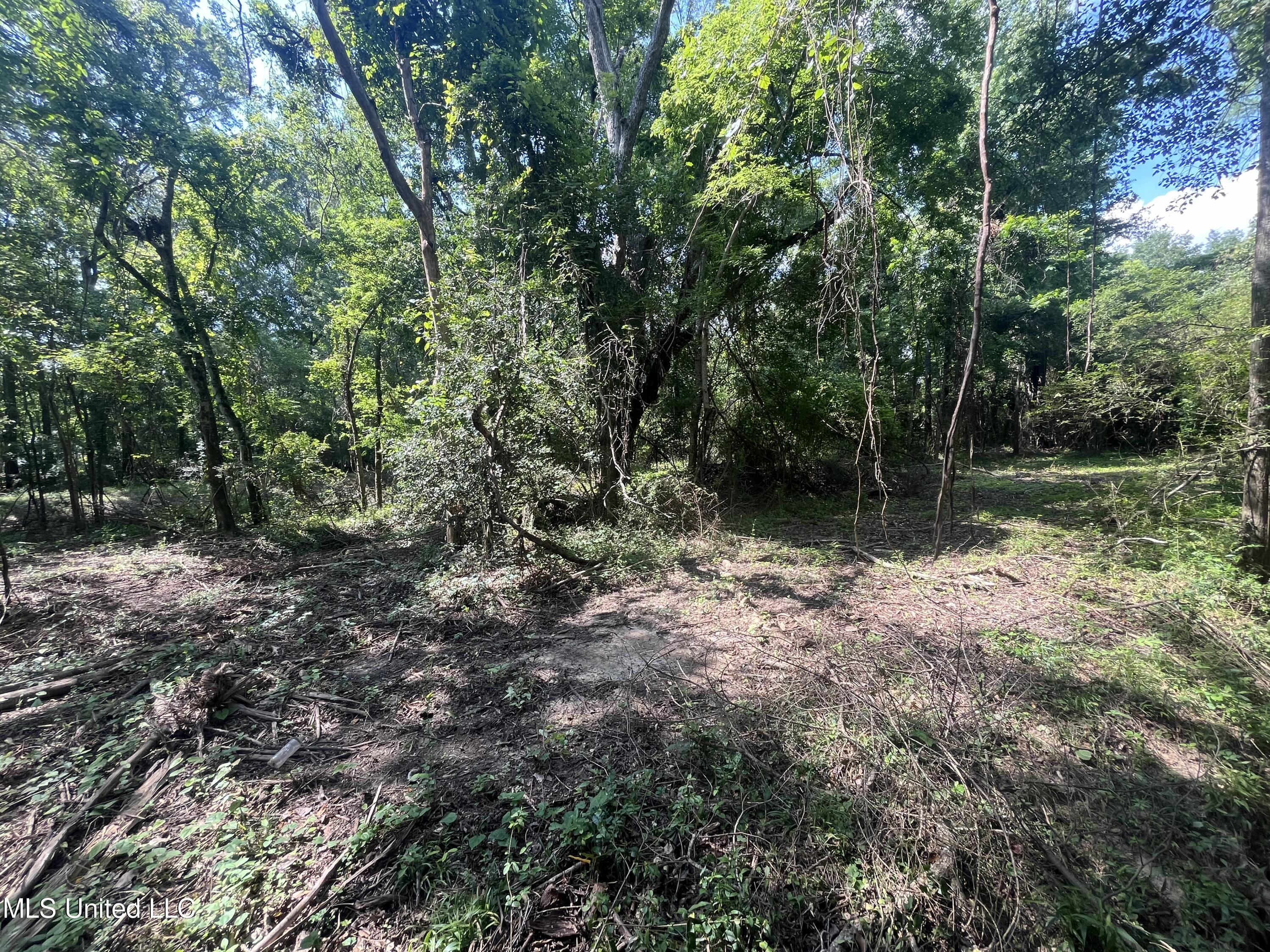 0 W Sunset Drive Property Photo 8