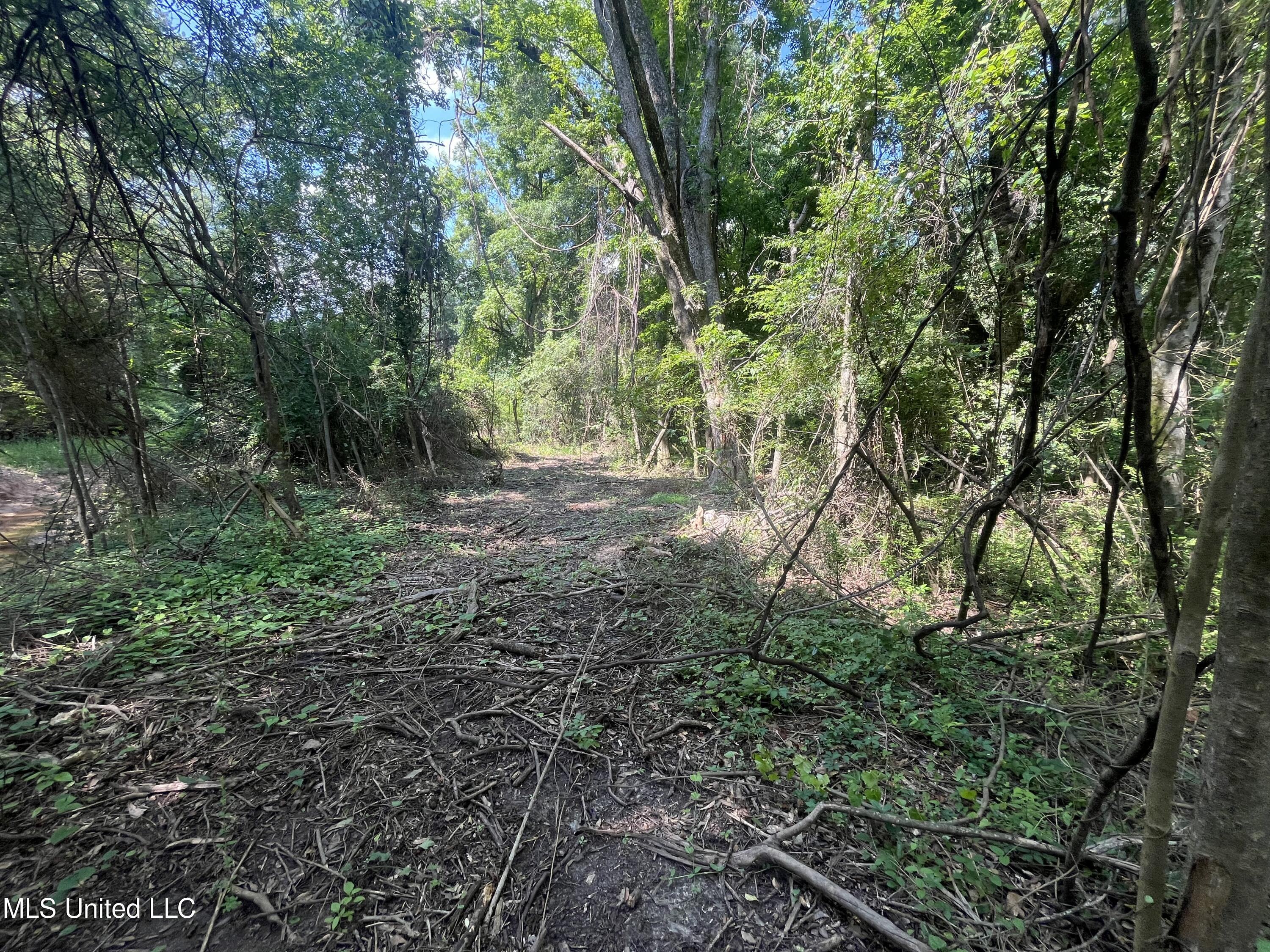0 W Sunset Drive Property Photo 9