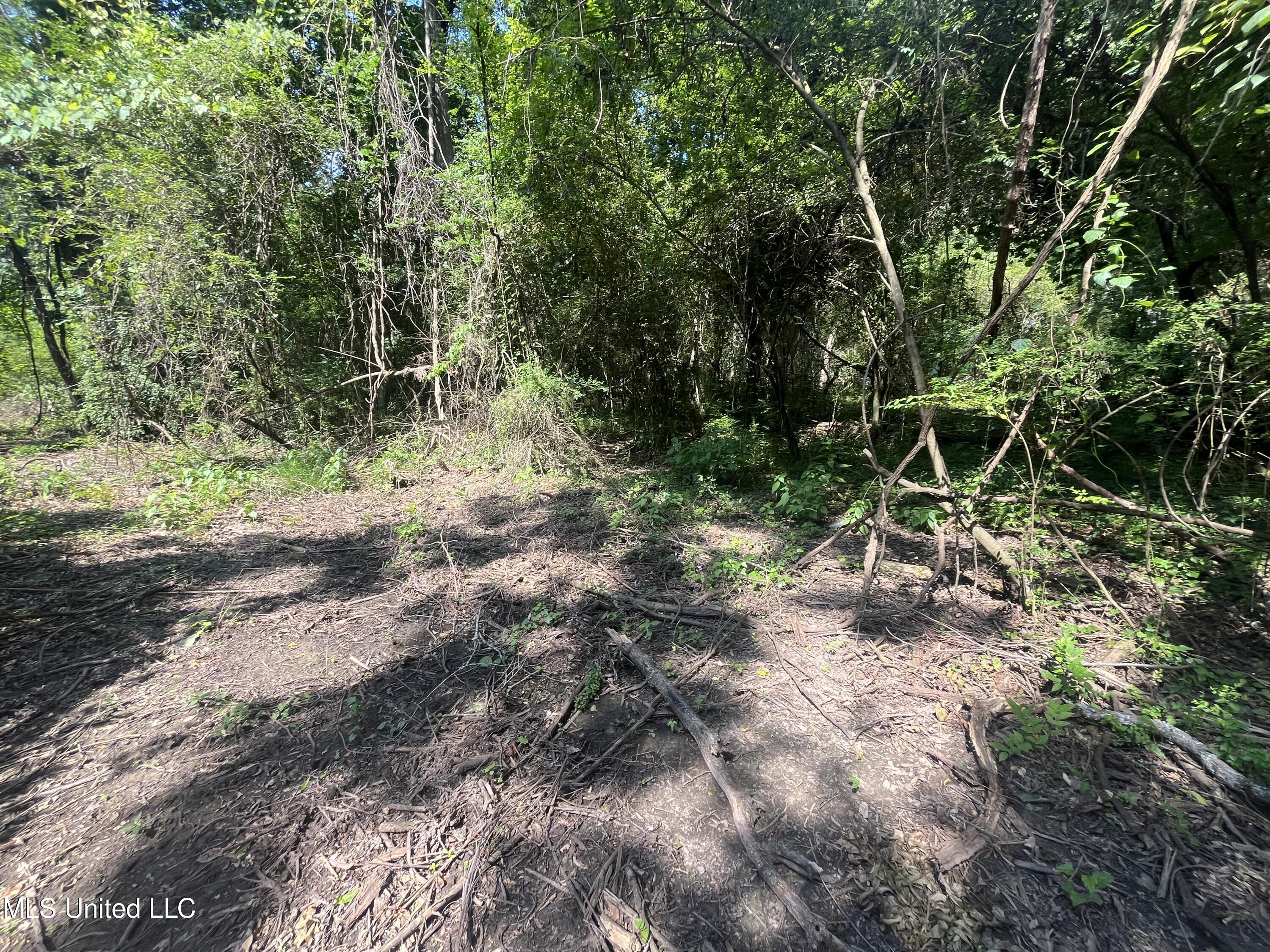 0 W Sunset Drive Property Photo 11