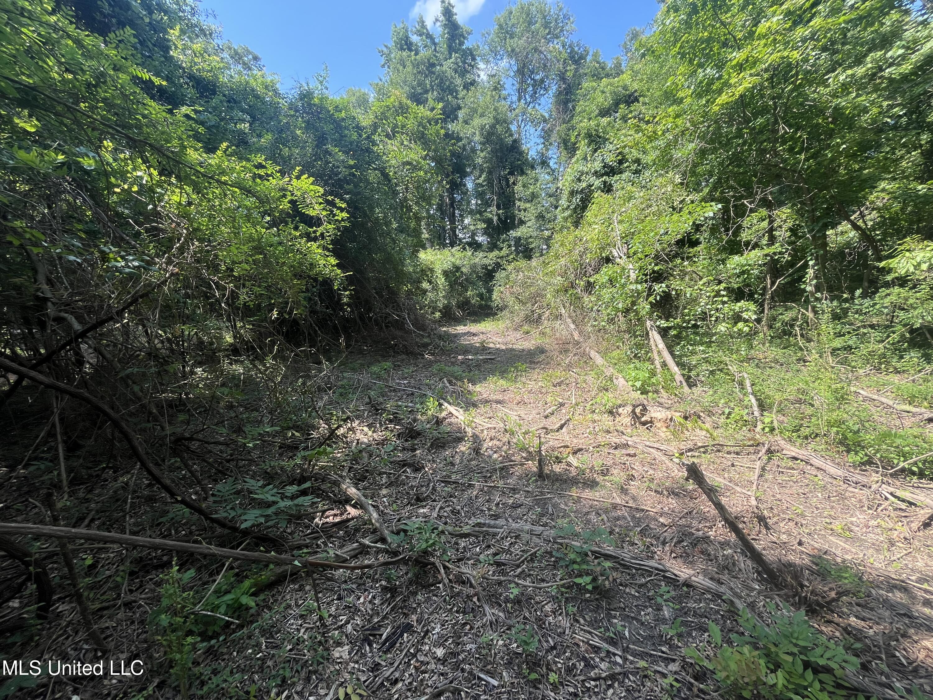 0 W Sunset Drive Property Photo 12