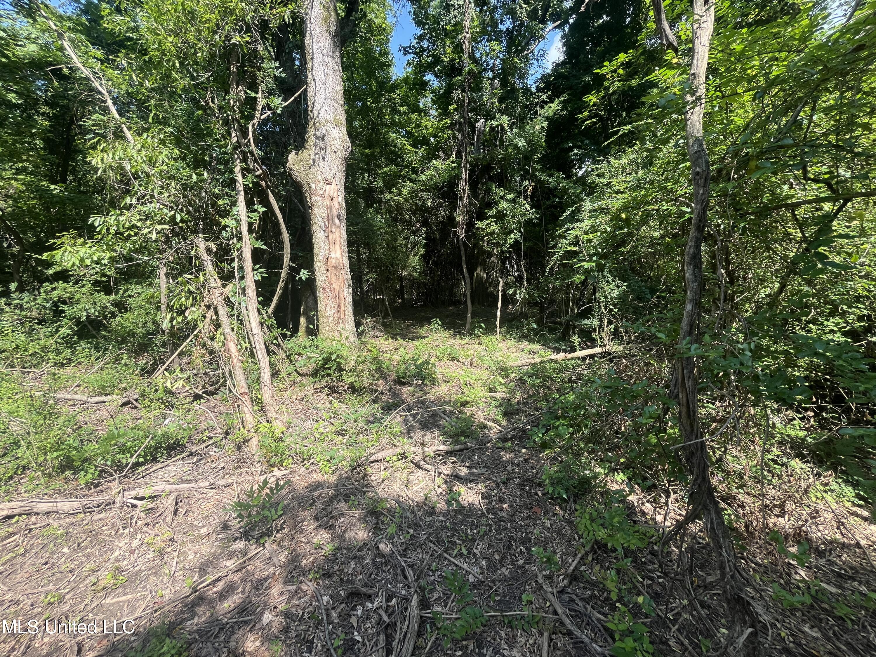 0 W Sunset Drive Property Photo 13