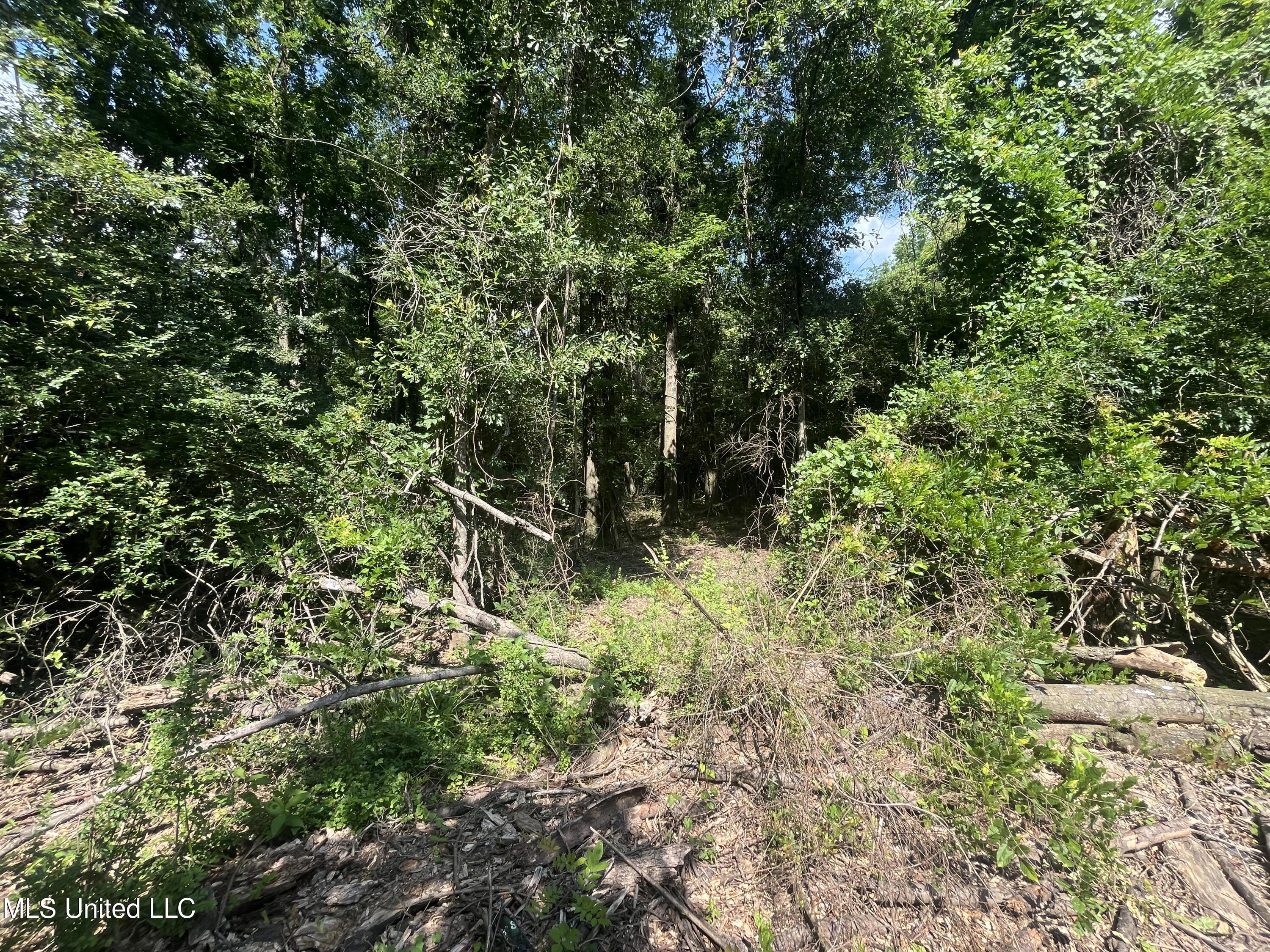 0 W Sunset Drive Property Photo 14