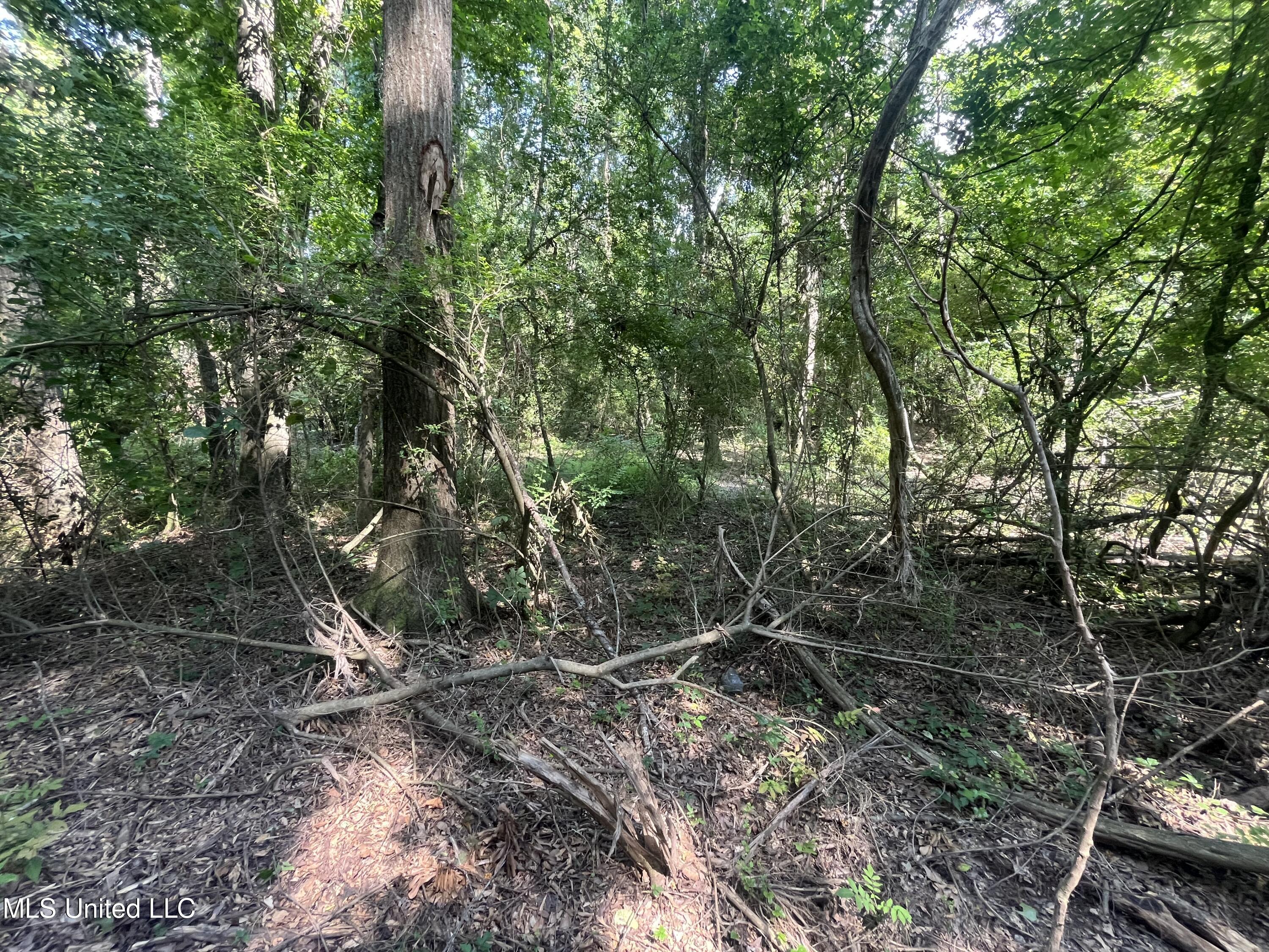 0 W Sunset Drive Property Photo 15