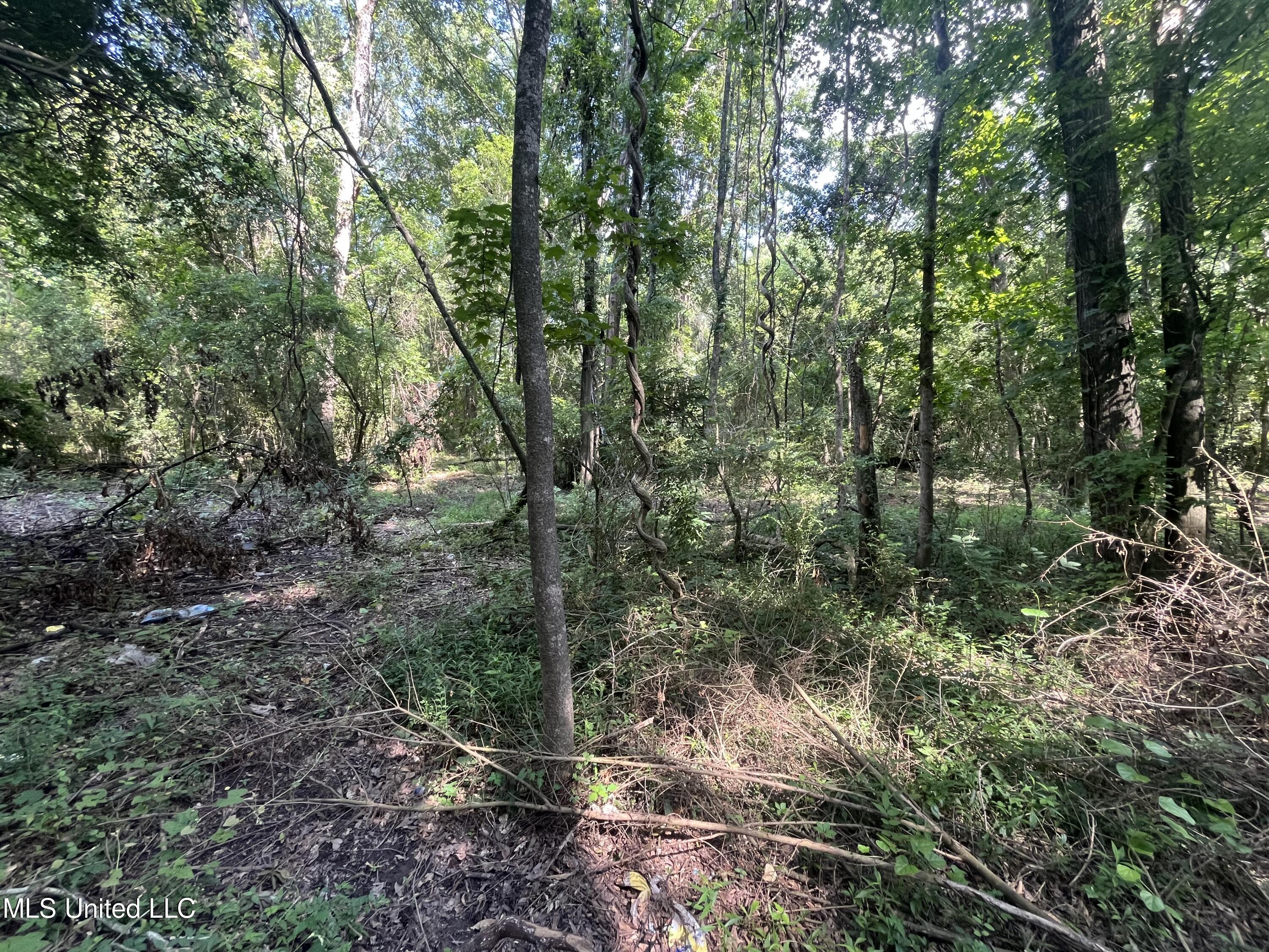 0 W Sunset Drive Property Photo 16