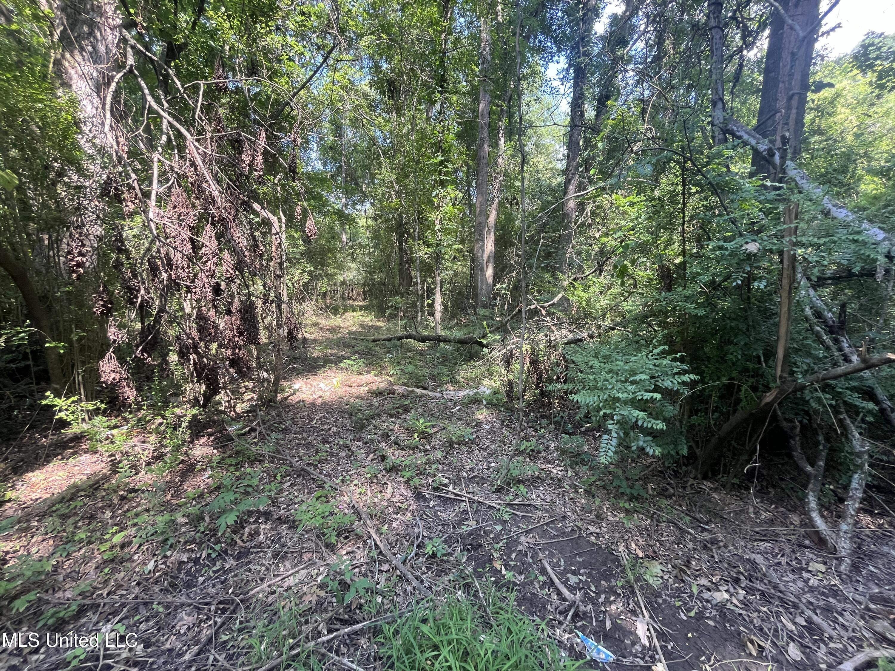 0 W Sunset Drive Property Photo 17
