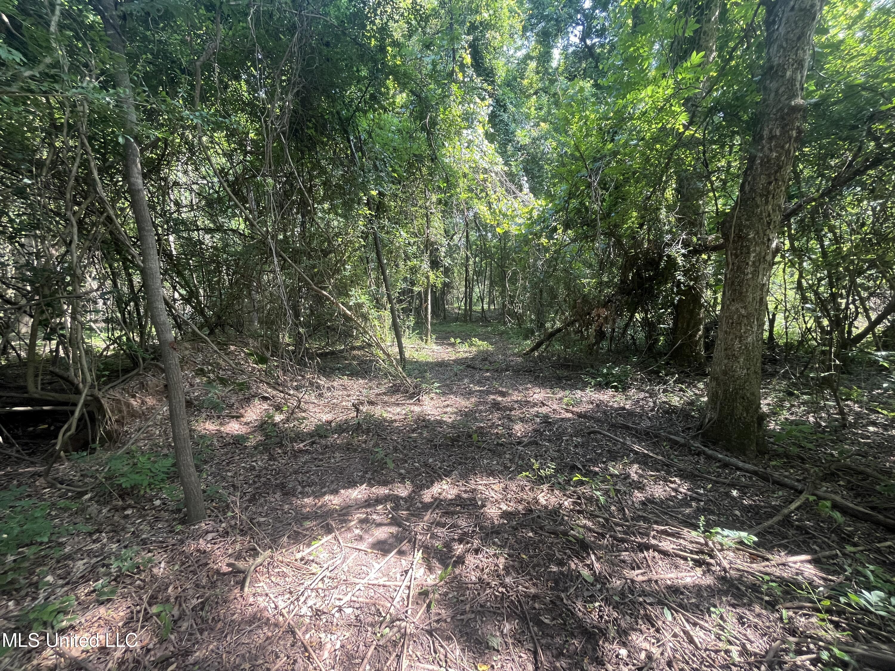 0 W Sunset Drive Property Photo 18