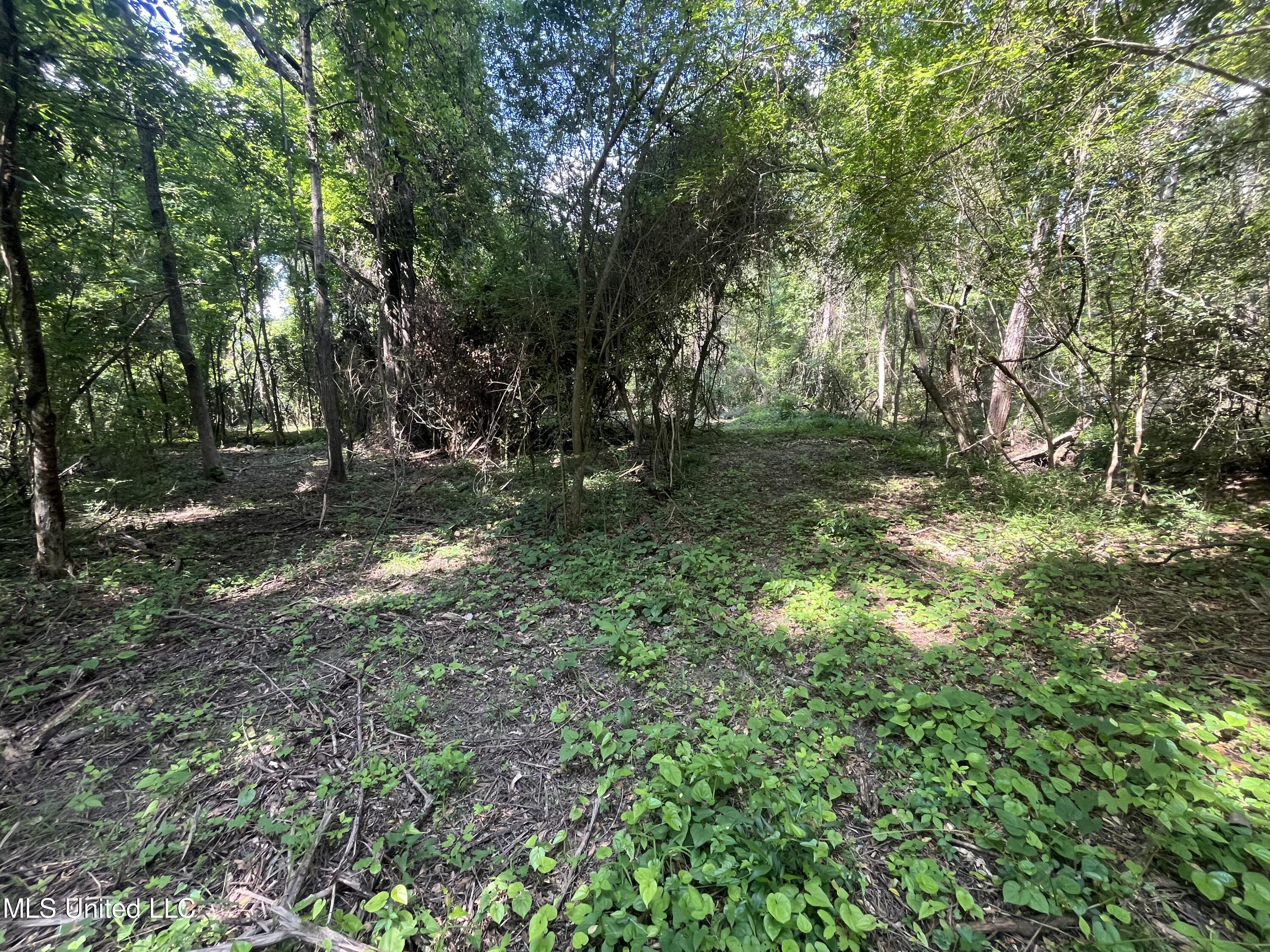 0 W Sunset Drive Property Photo 19