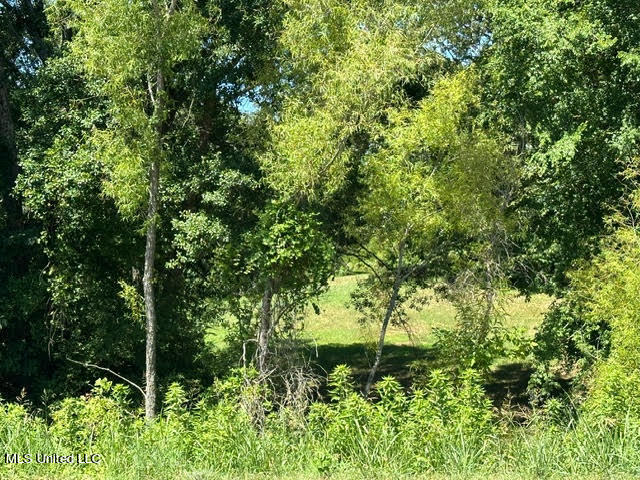 Highway 196 Property Photo 1