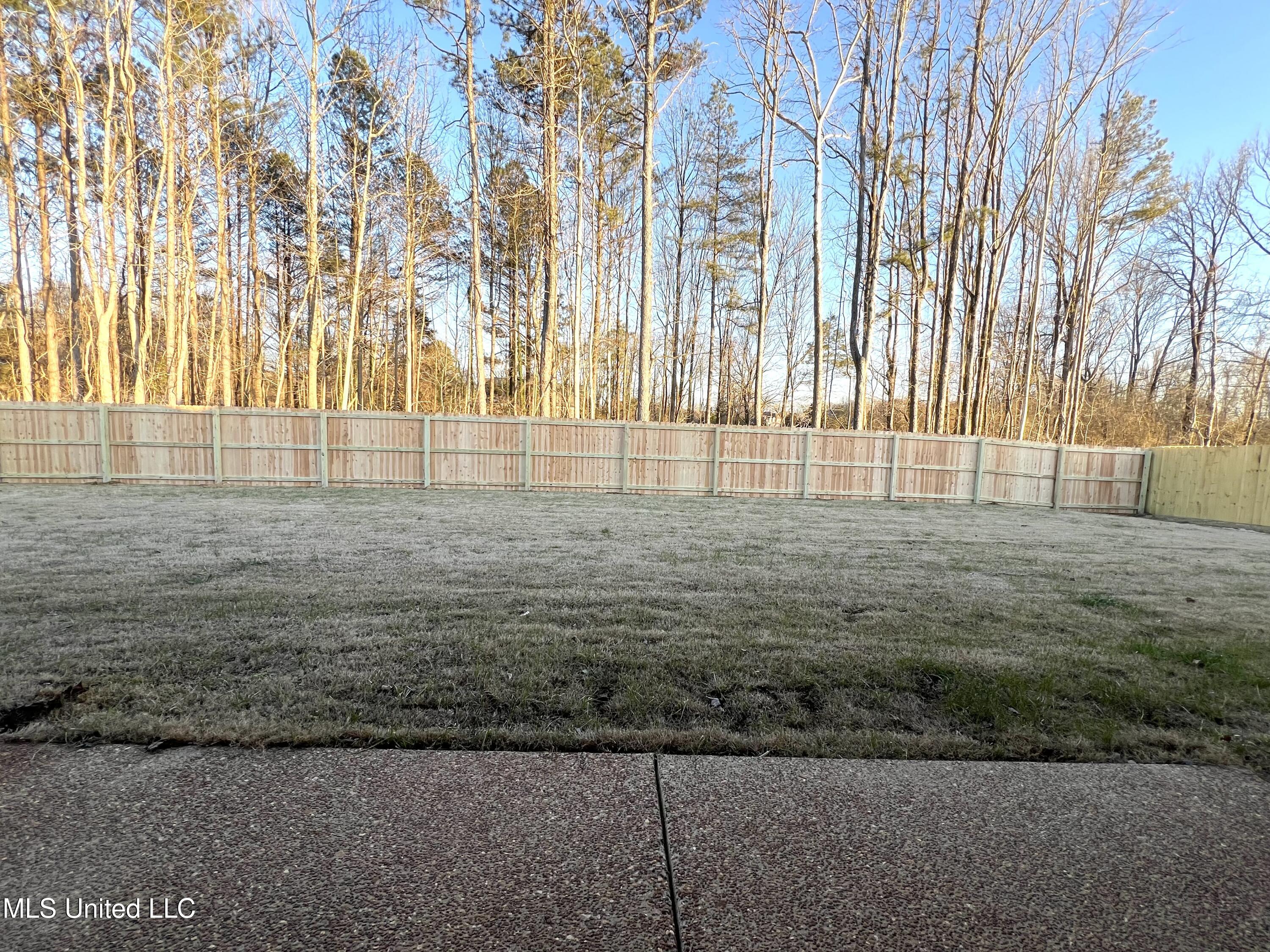 2406 Scott Meadows Lane Property Photo 5