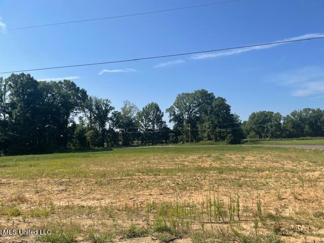 5336 Cane Creek Cove Property Photo 2