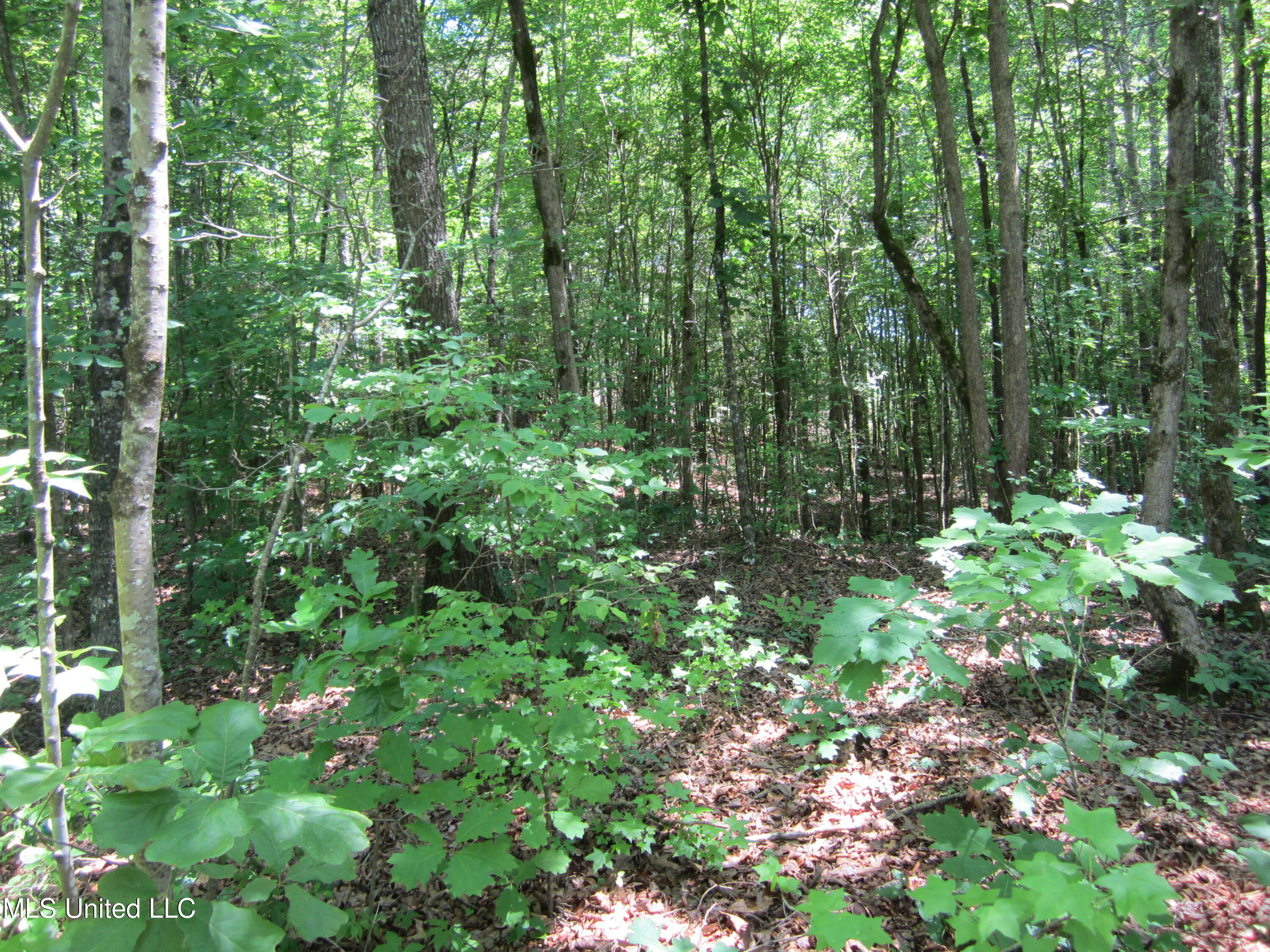 Co Rd 7 Property Photo 9