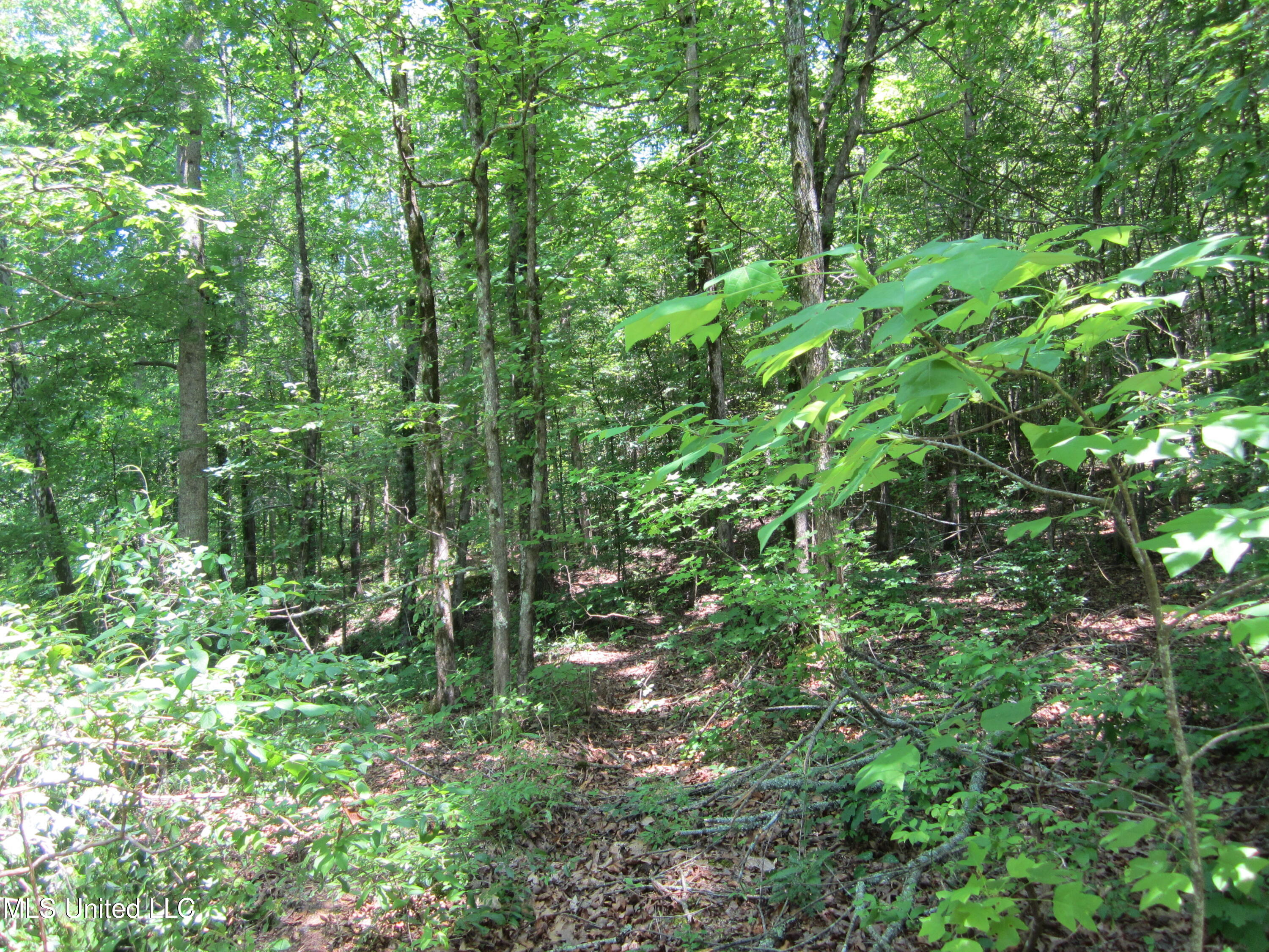 Co Rd 7 Property Photo 10