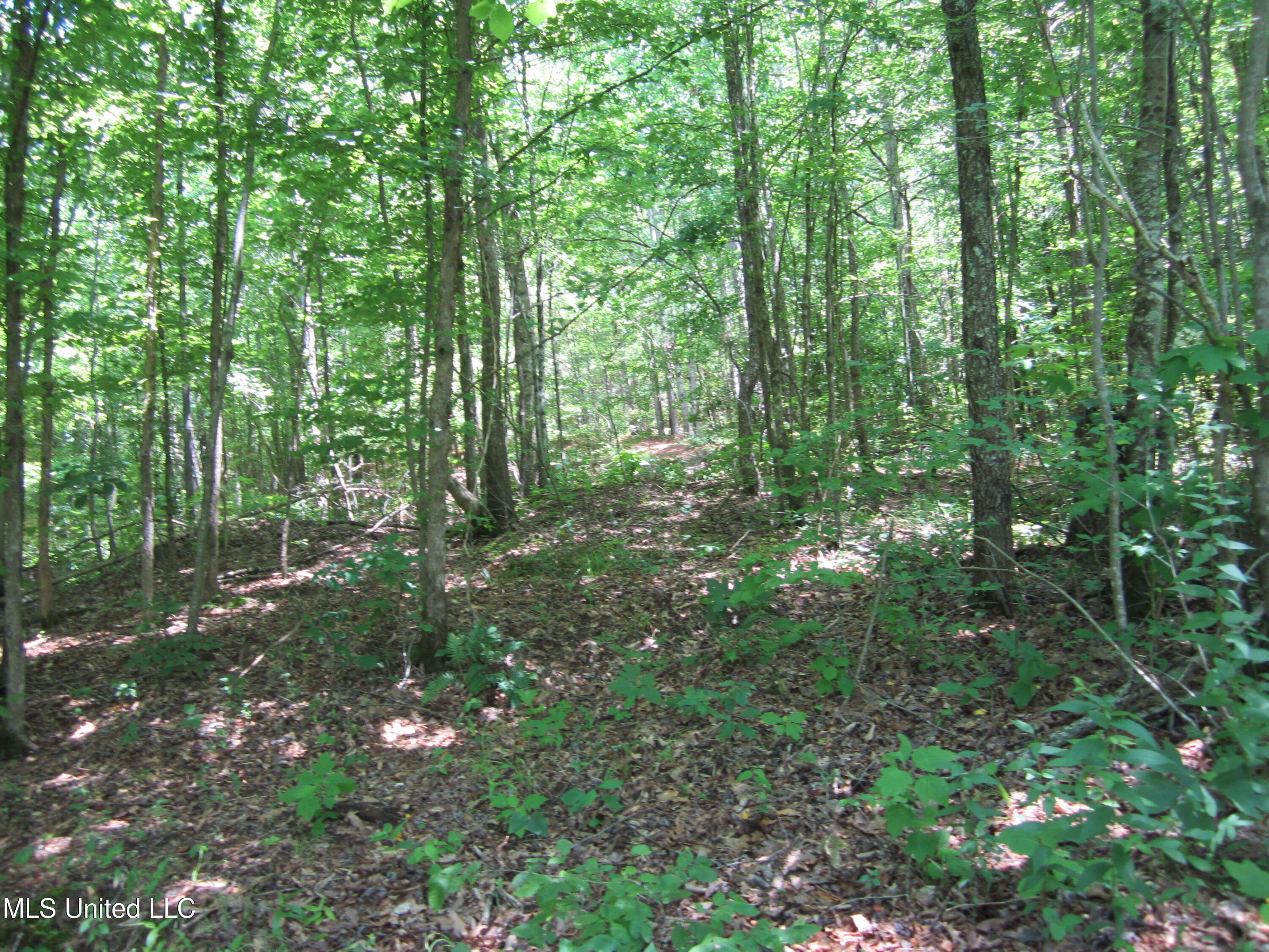 Co Rd 7 Property Photo 11