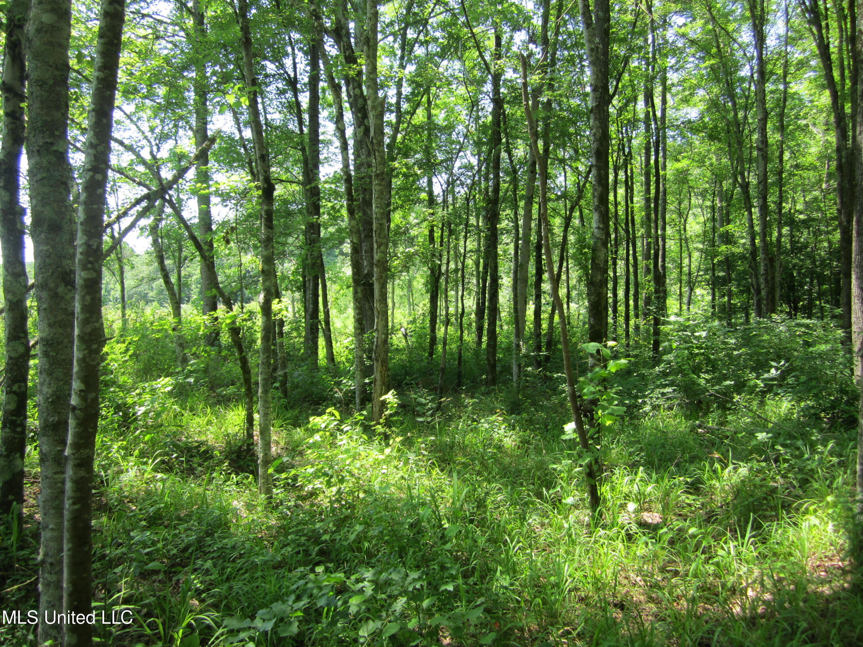 Co Rd 7 Property Photo 14