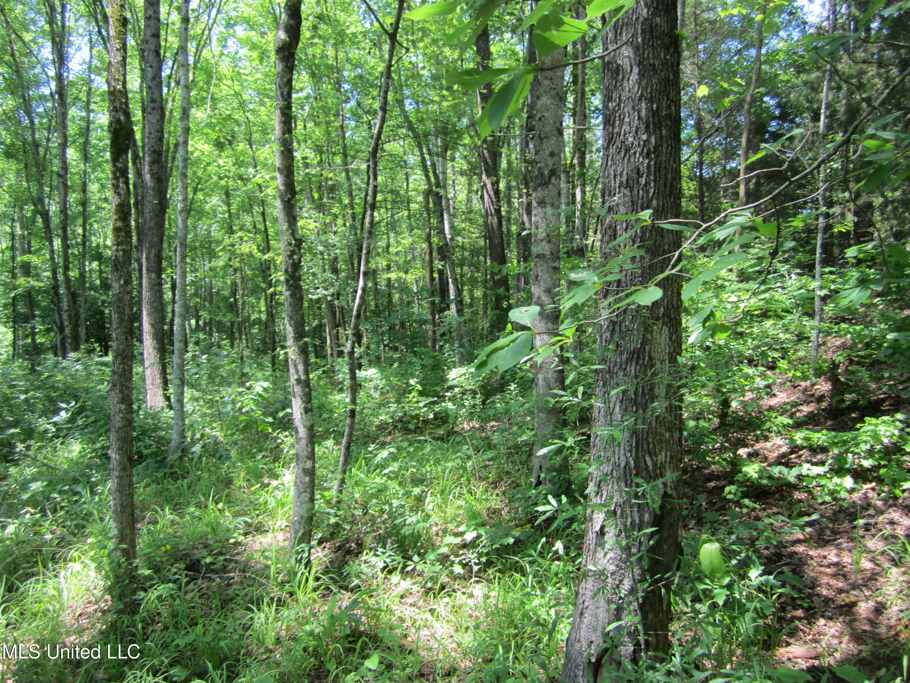 Co Rd 7 Property Photo 15
