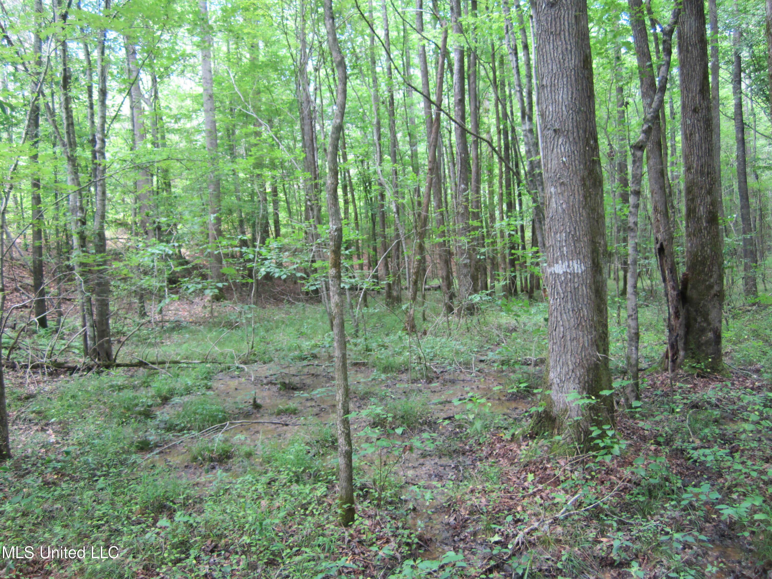 Co Rd 7 Property Photo 18