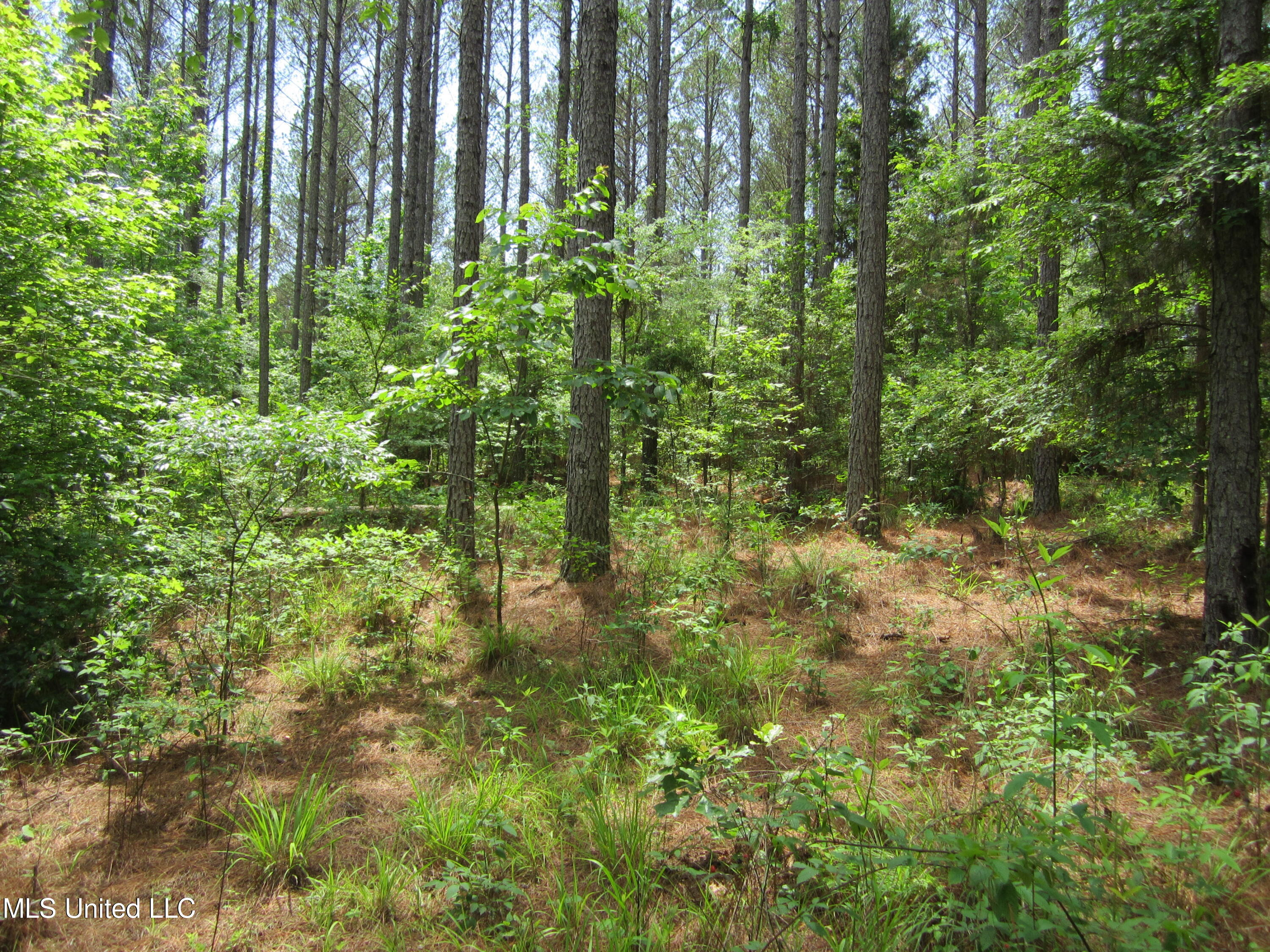 Co Rd 7 Property Photo 19