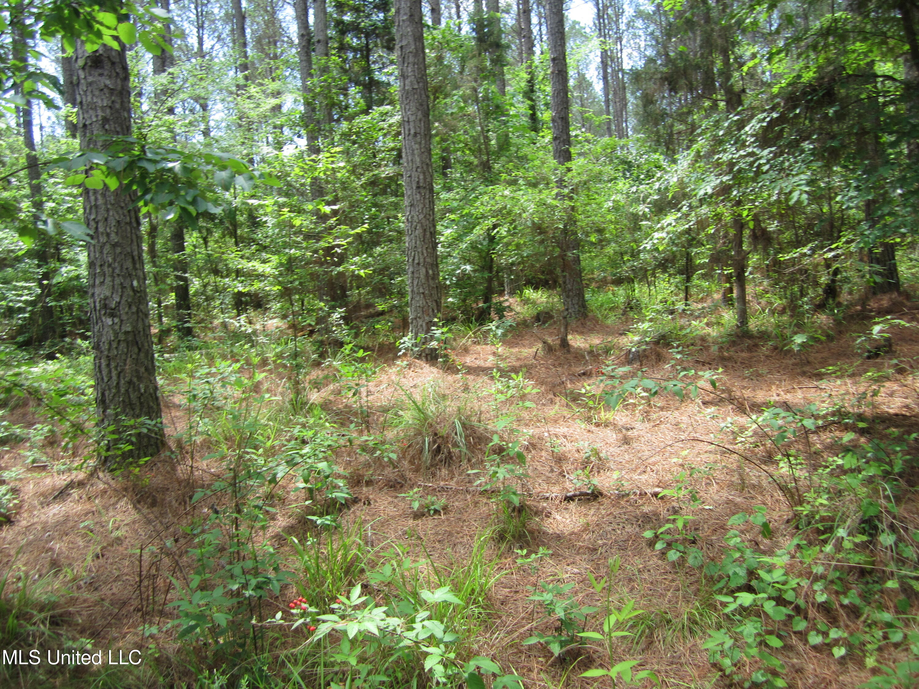 Co Rd 7 Property Photo 20
