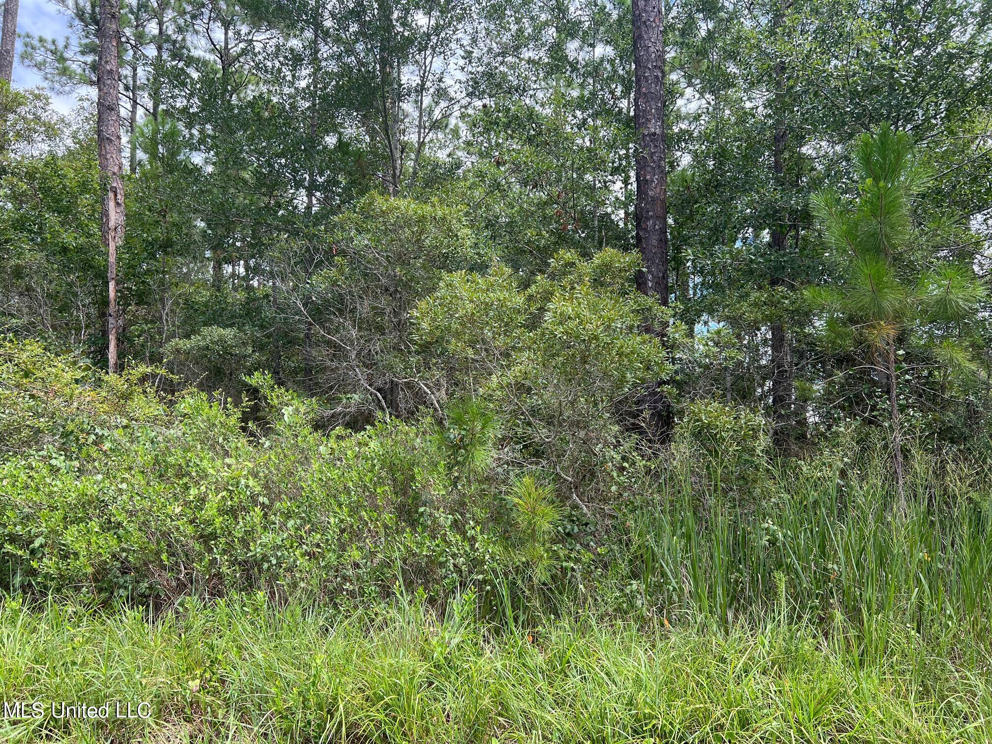 Old Lower Bay Rd Lot 6 Property Photo 2