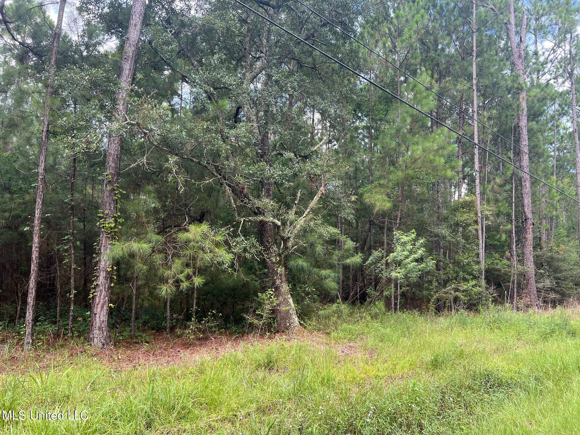 10165 Old Lower Bay Road Property Photo 2
