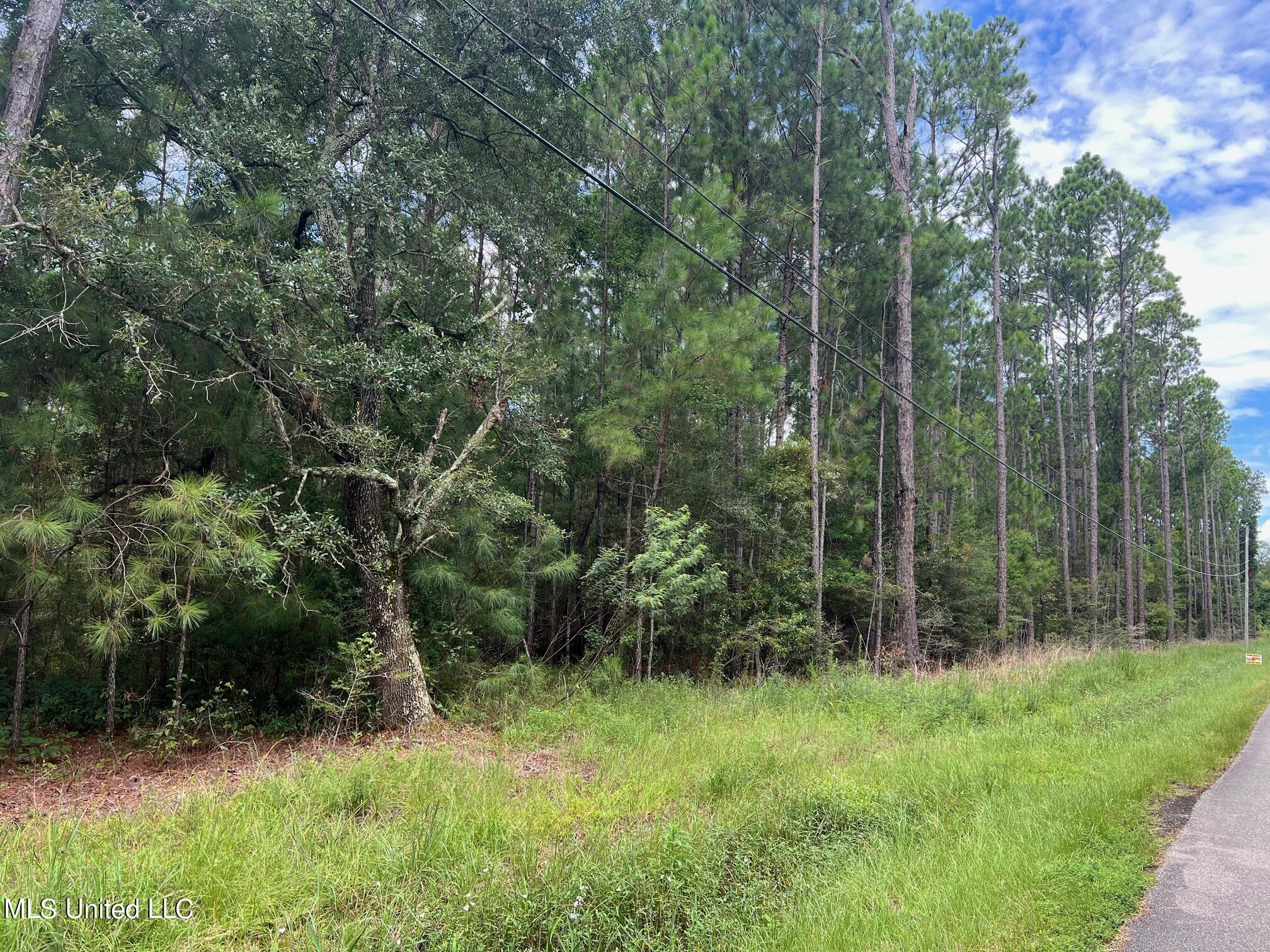 10165 Old Lower Bay Road Property Photo 3