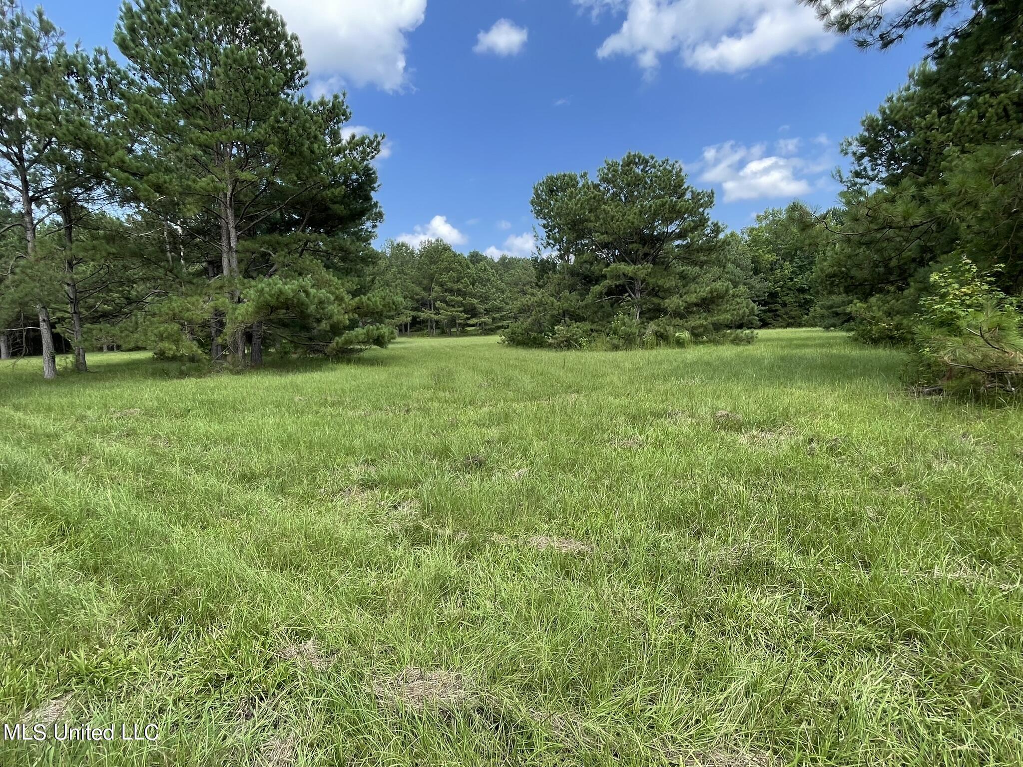 10290 County Road 4306 Property Photo 1